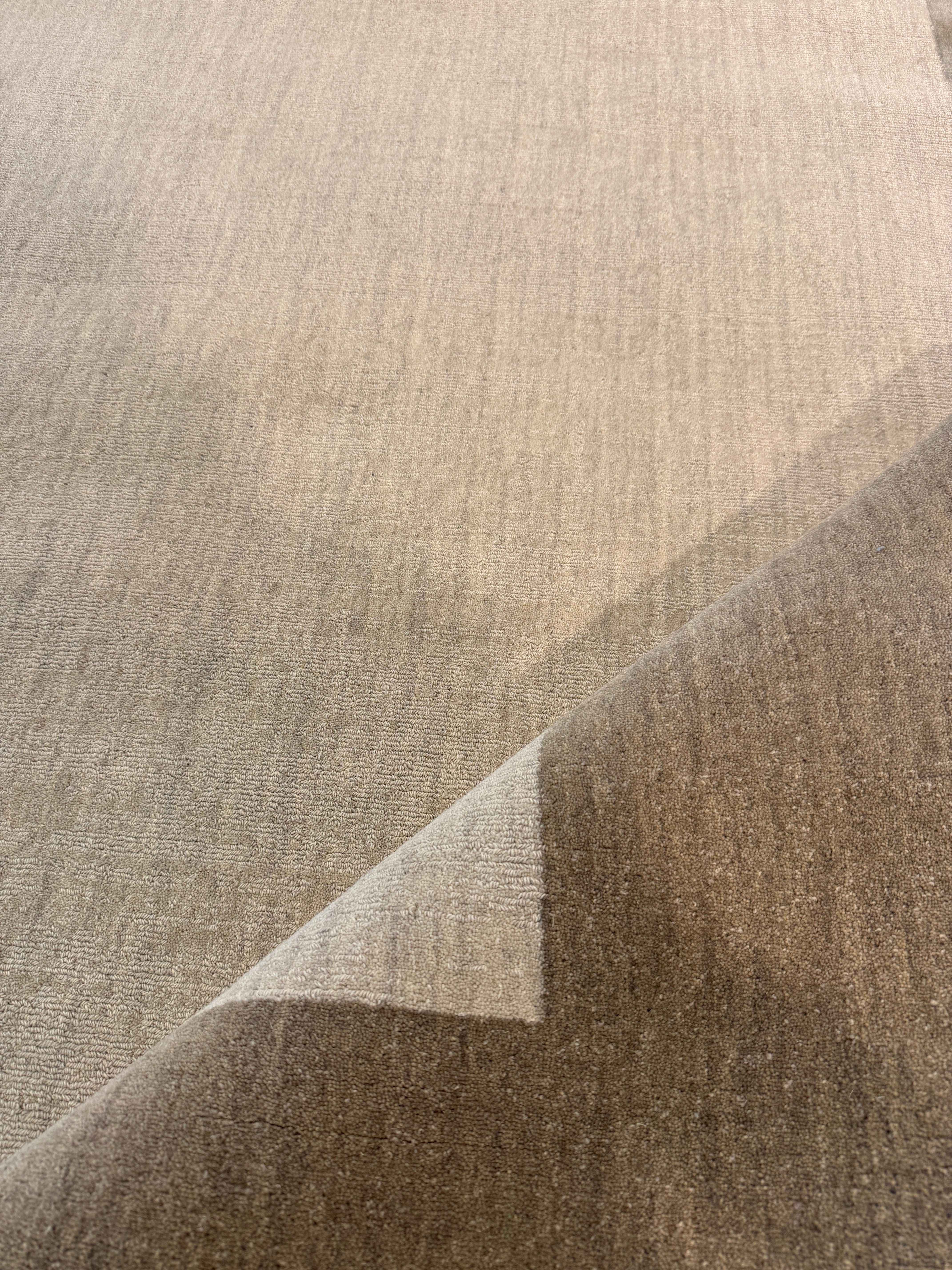 Livio 8.3x11.6 Handwoven Blended Modern Carpet