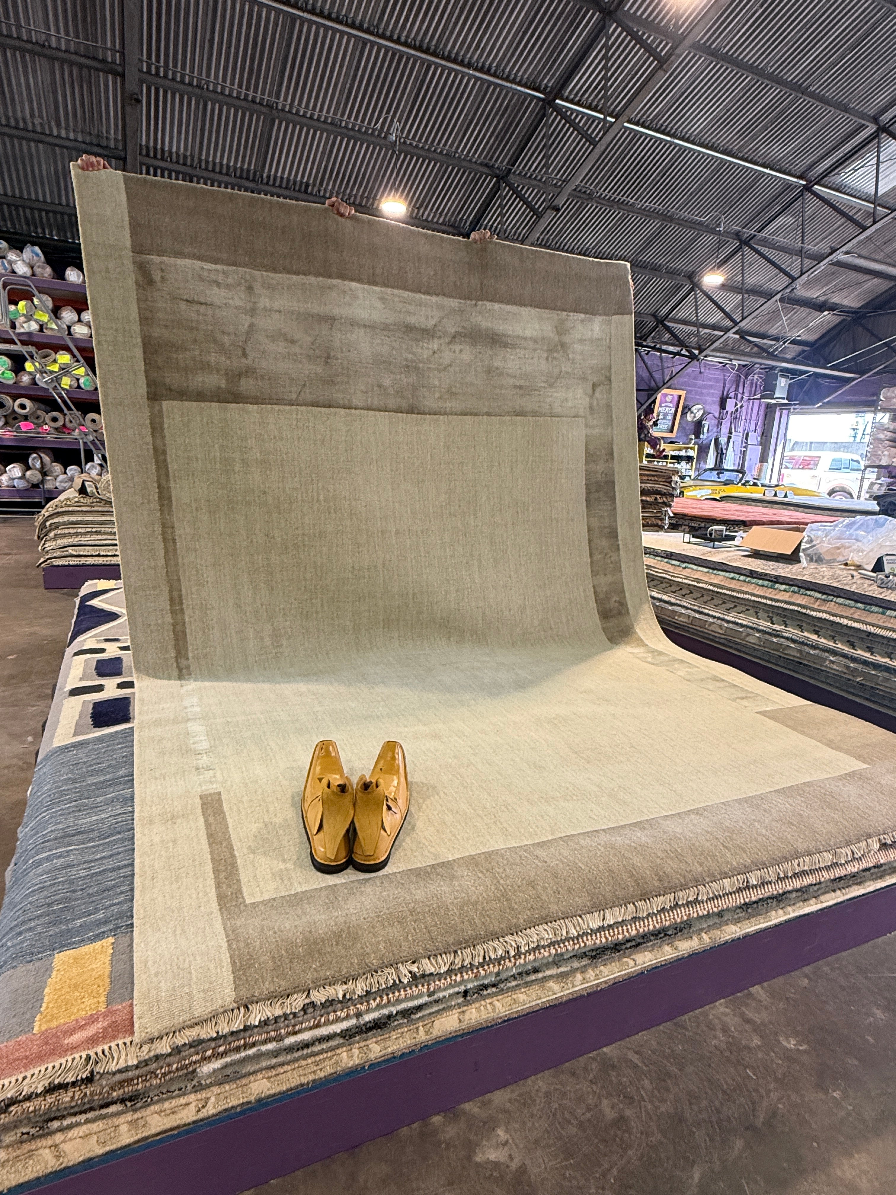 Livio 8.3x11.6 Handwoven Blended Modern Carpet