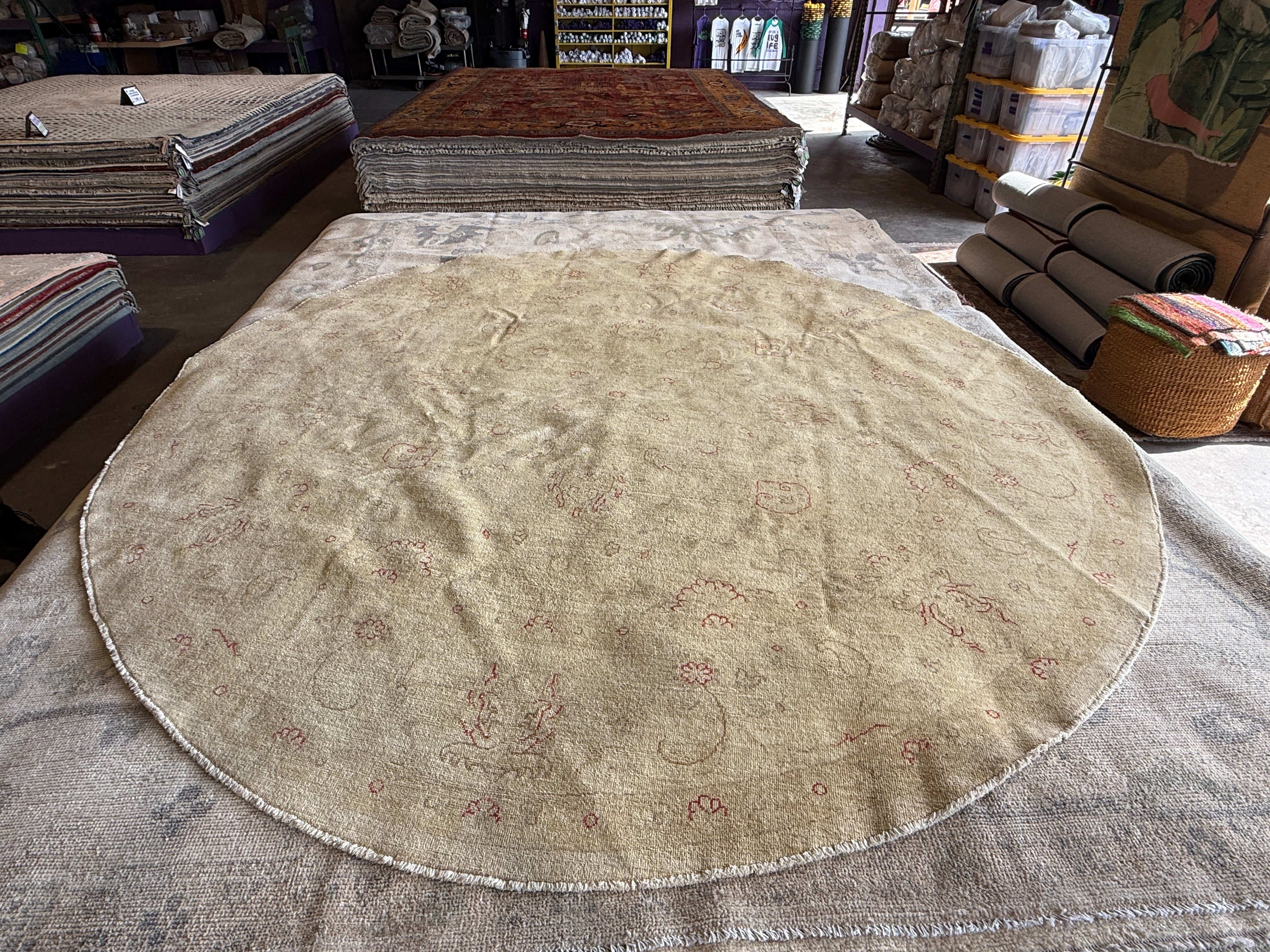 Genevieve 8.6x8.10 Cream Hand-Knotted Farhan Rug