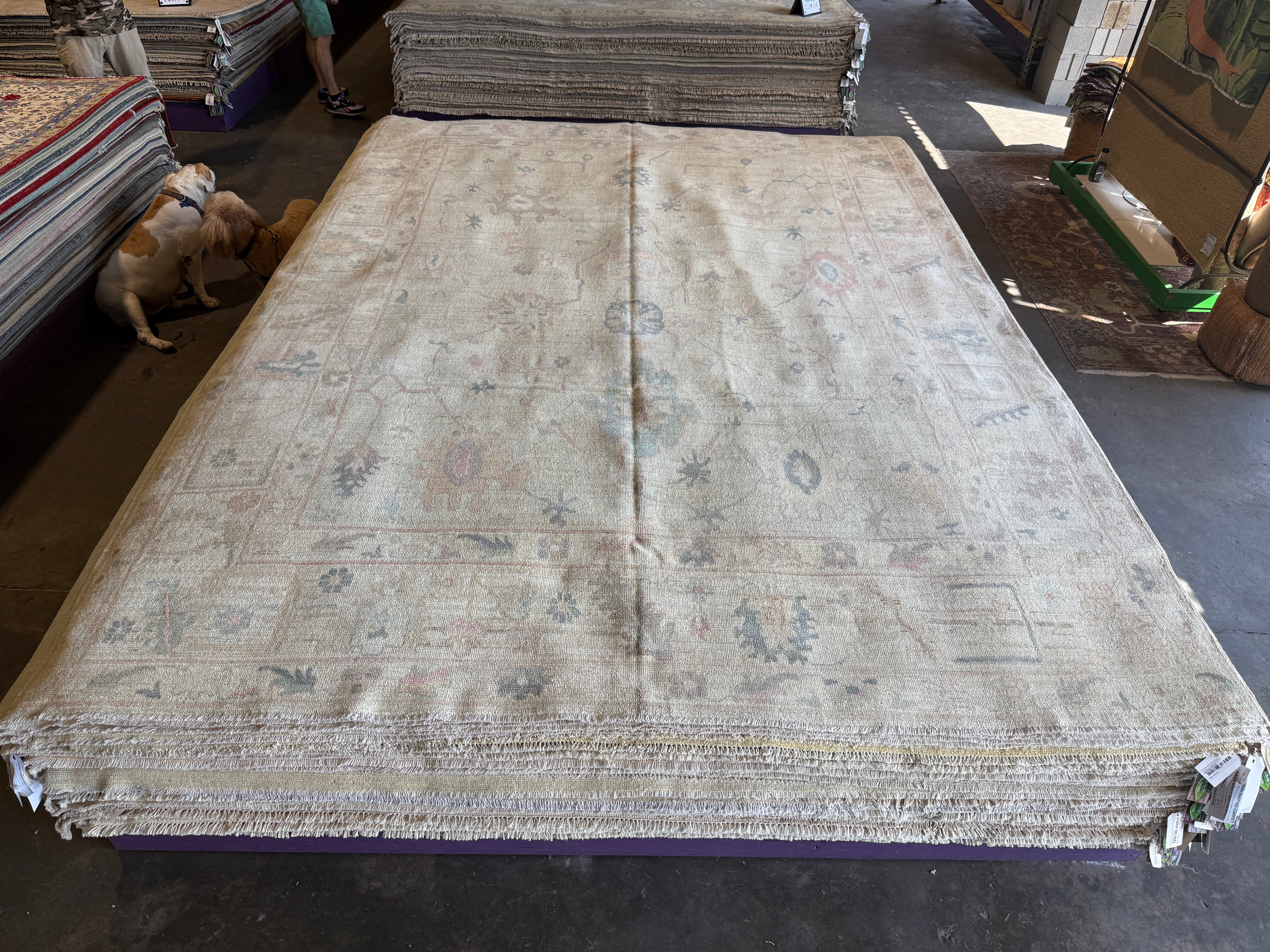 Valentina Garza 8.10x12 Pink Afghani Whitewashed Oushak