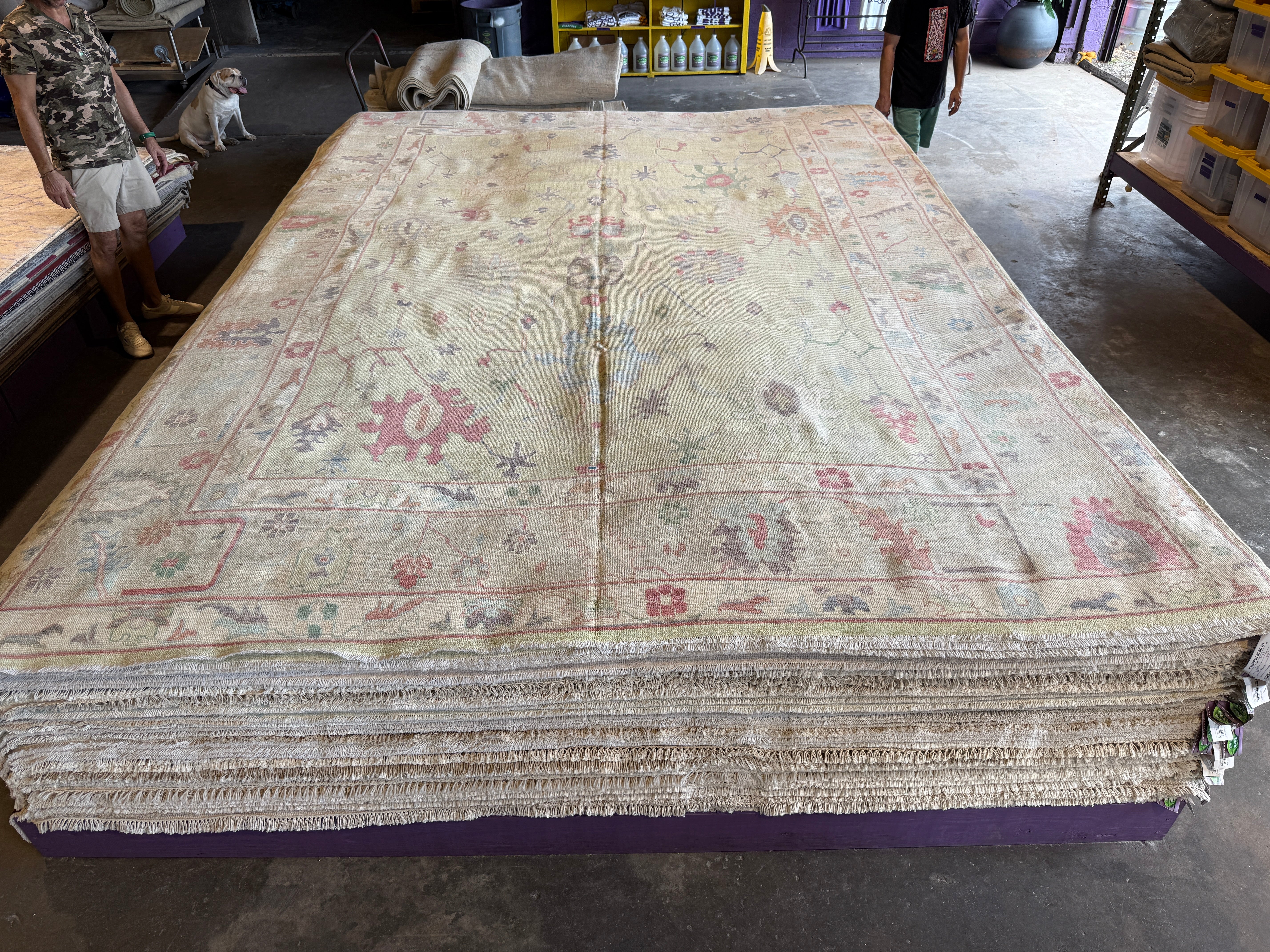 Sheriff Ritchie Santiago 10.1x14 Colorful Afghani Whitewashed Oushak Runner