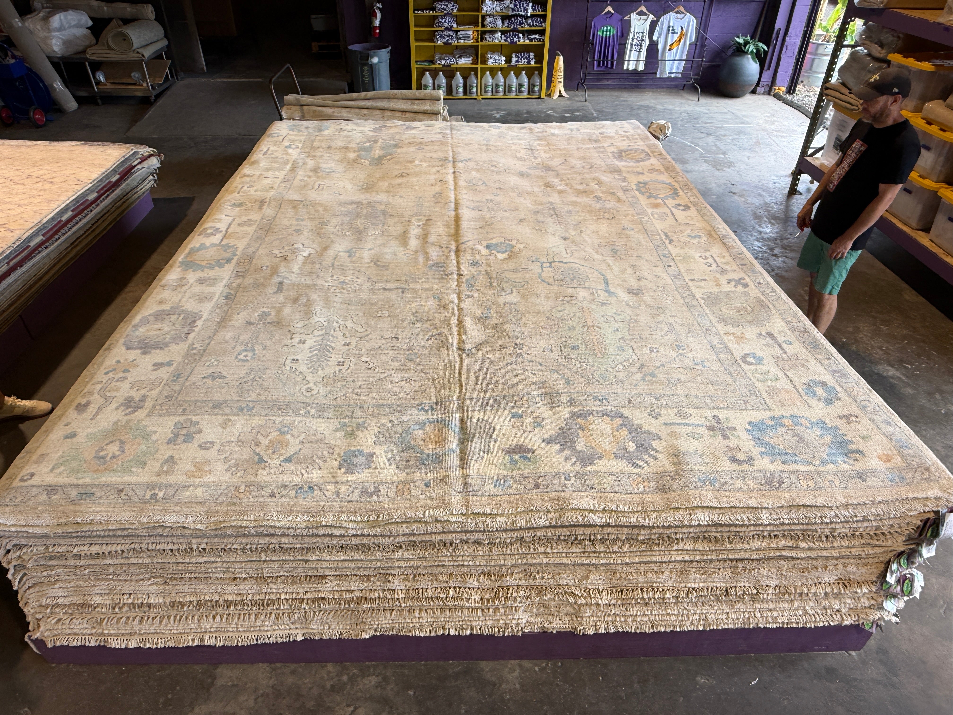Siena Butterfield 10x13.7 Colorful Afghani Whitewashed Oushak
