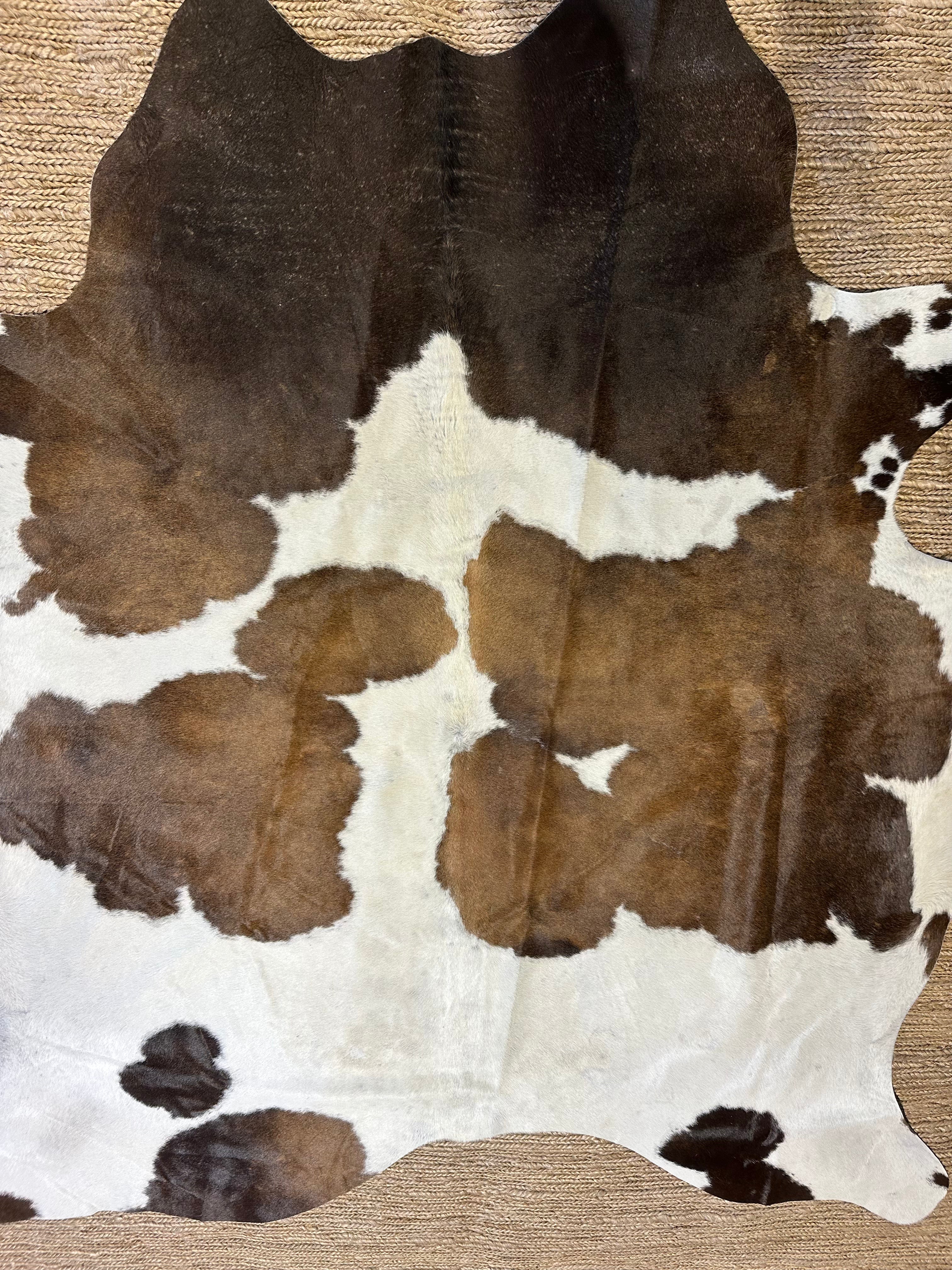 Tricolor Exotic Cowhide Rug 5.6x6.6