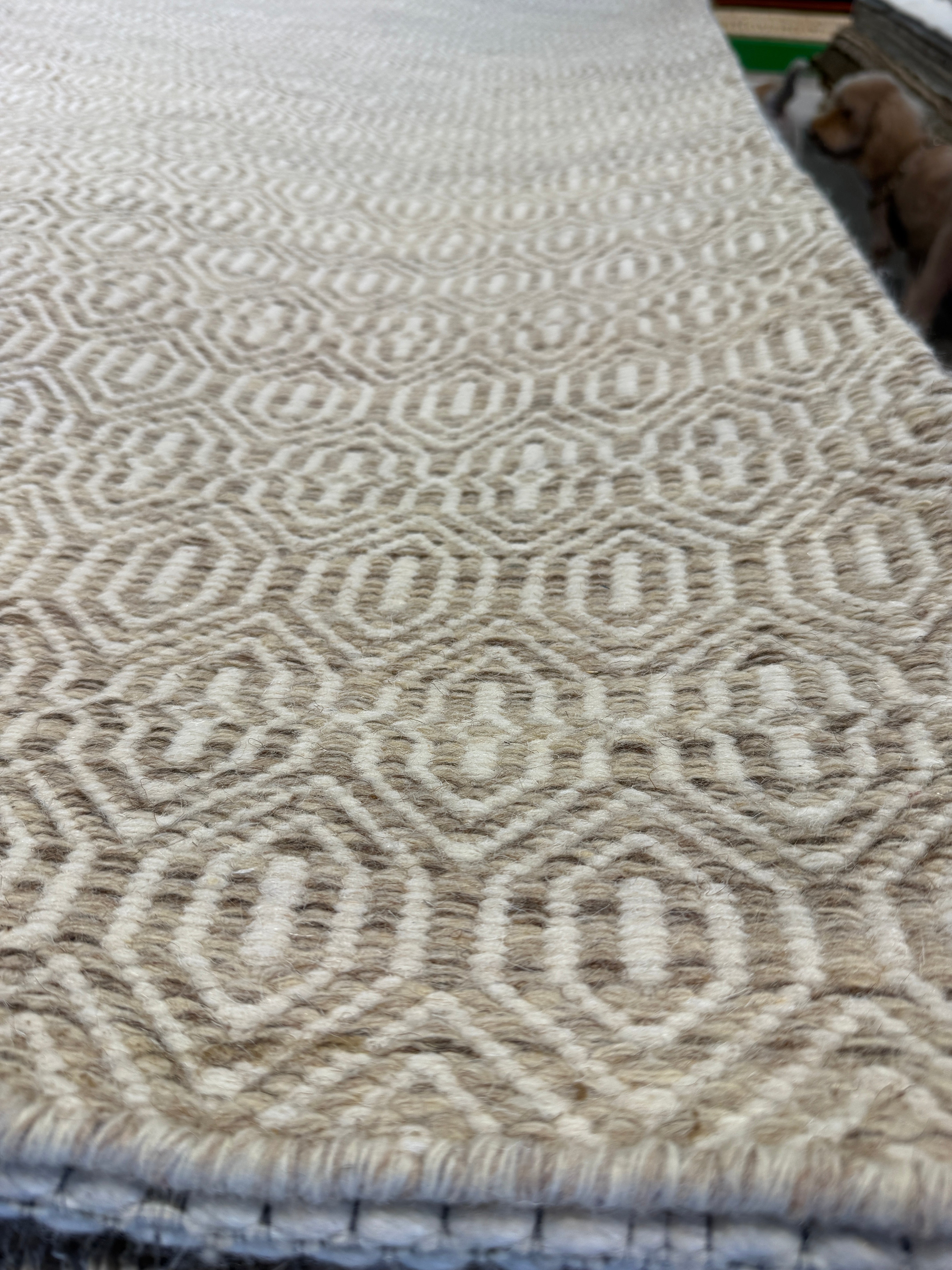 James Clarke 8.3x10.3 Grey Handwoven Modern Rug