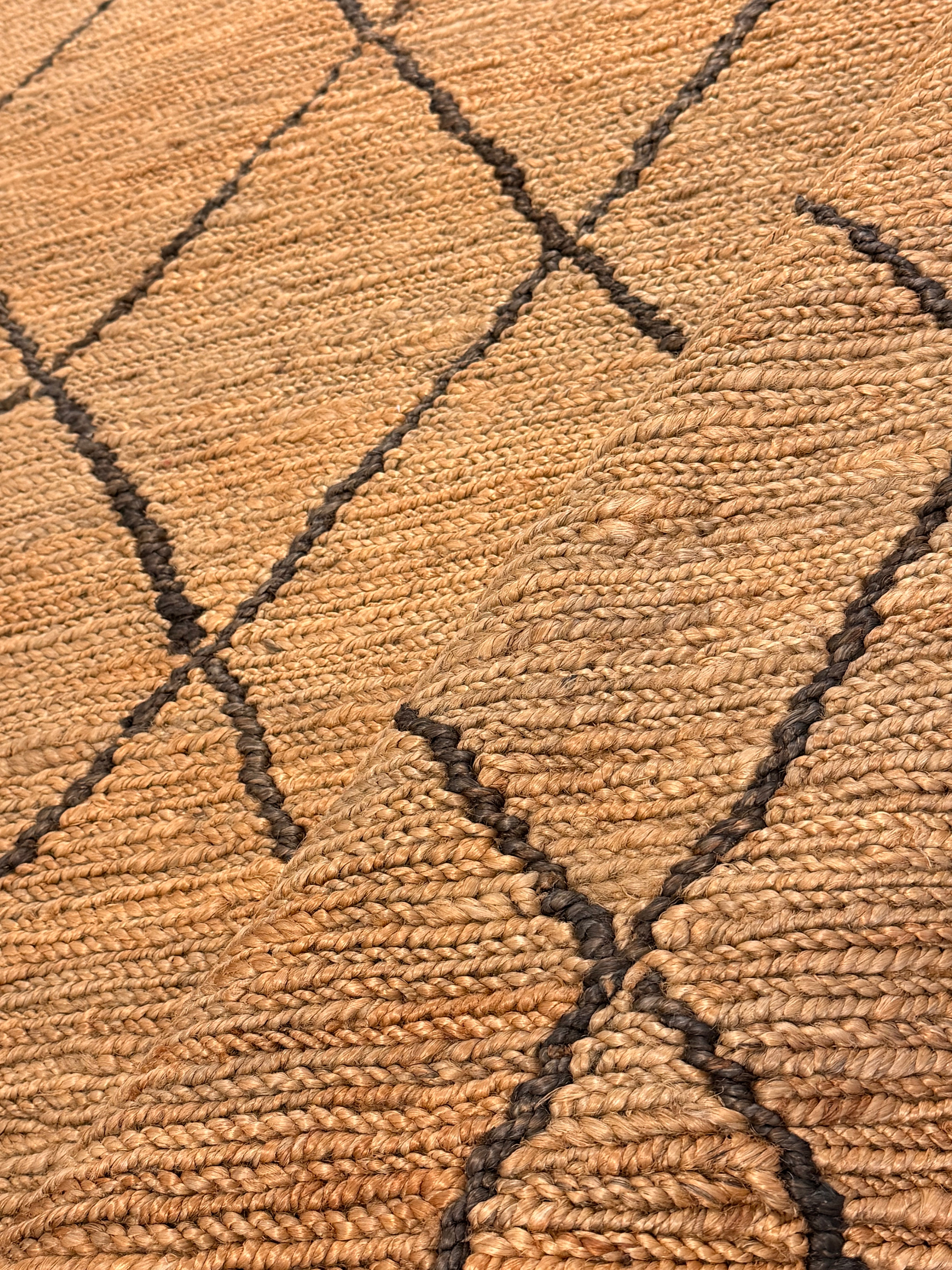 Lana 6.9x9.9 Natural Modern Soumak Jute Rug