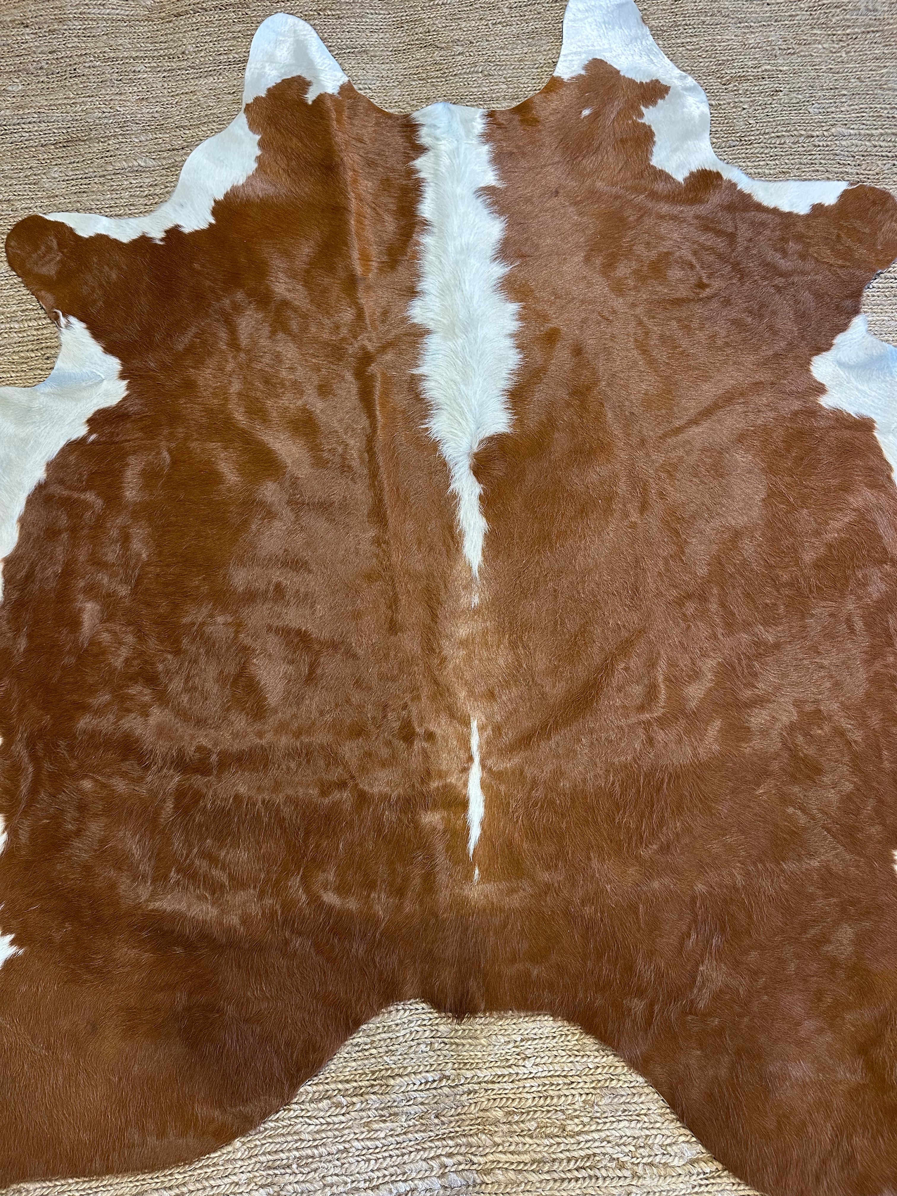 Brown WH Reg Cowhide Rug 5.8x6.9