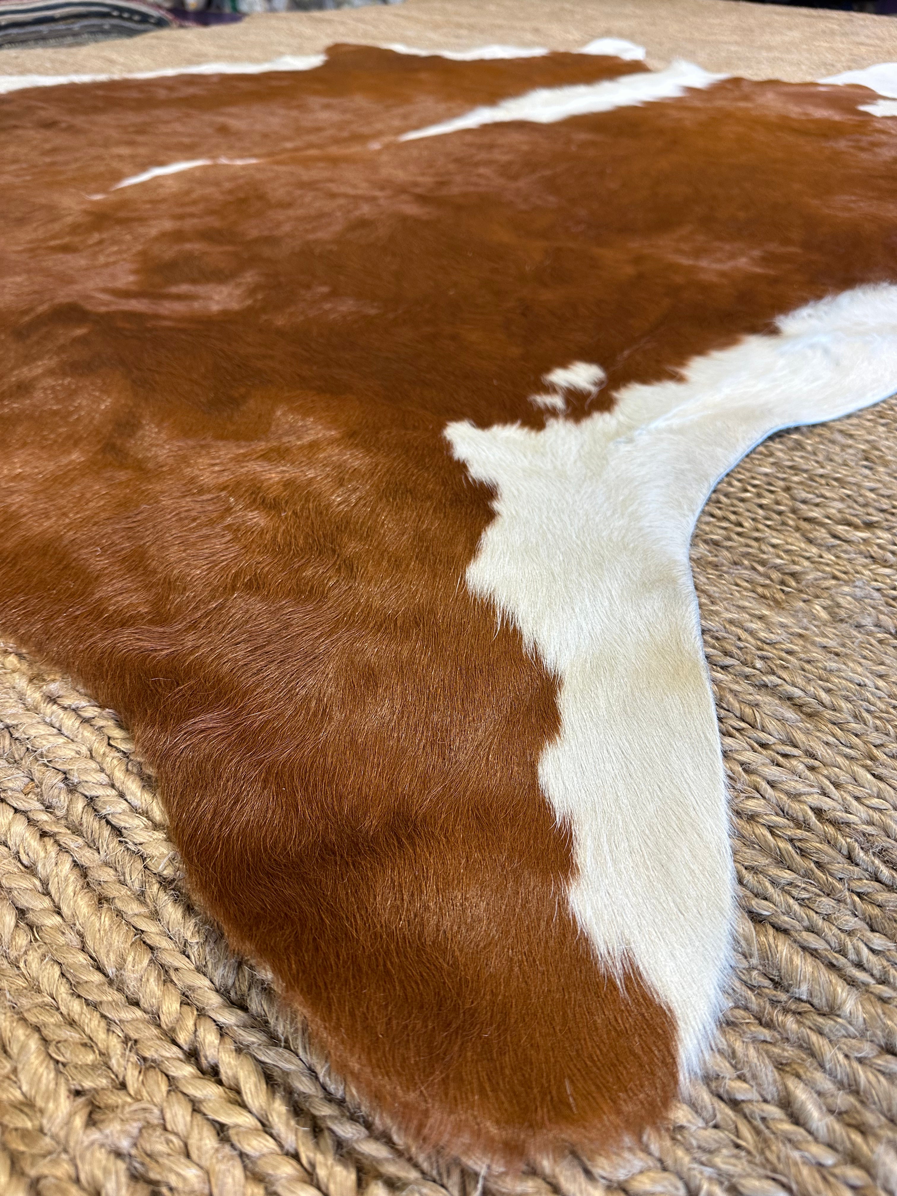 Brown WH Reg Cowhide Rug 5.8x6.9