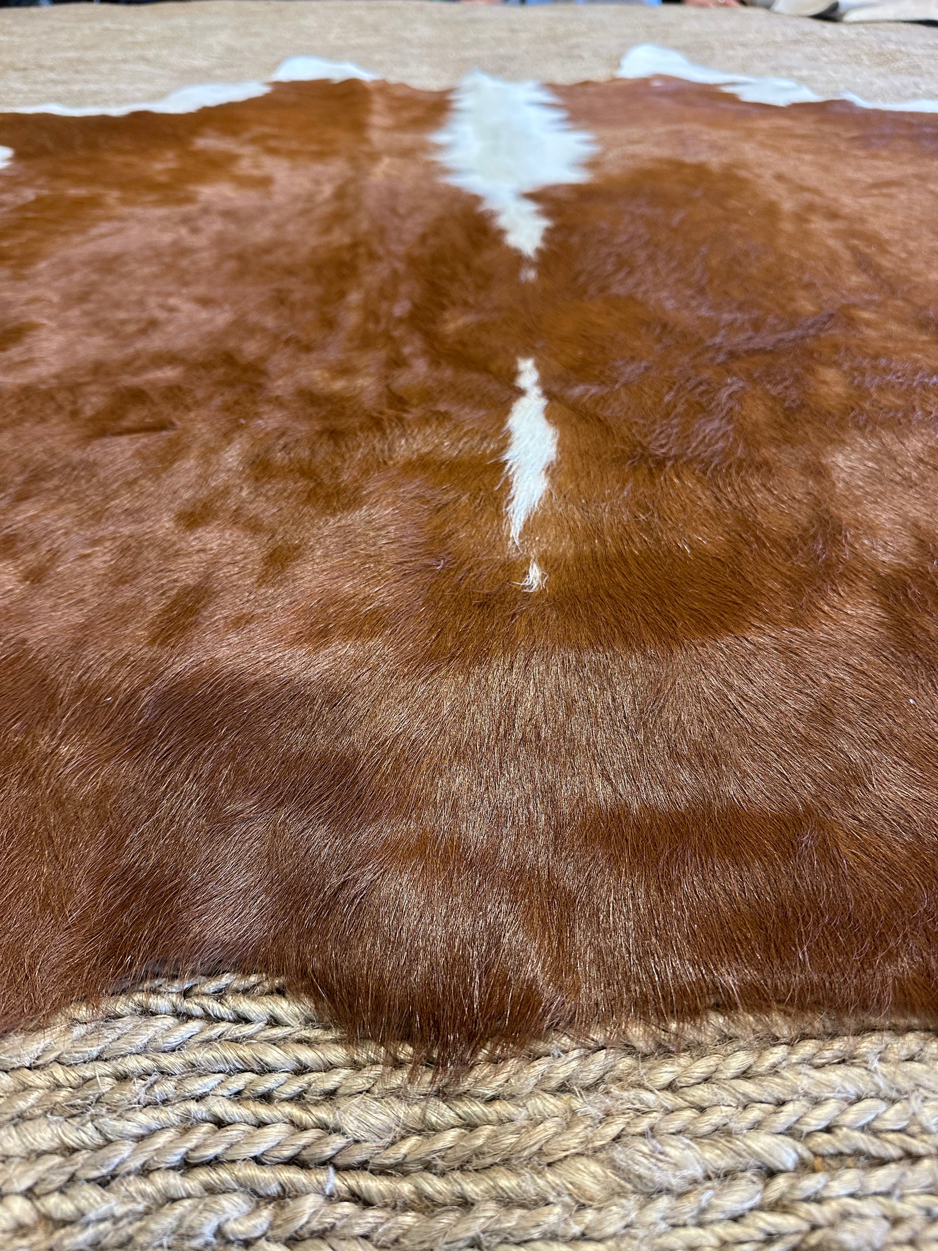 Brown WH Reg Cowhide Rug 5.8x6.9