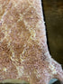 Elizabeth Saunders 12.7x14.7 Pink Hand-Knotted Afghani Moroccan Style Rug