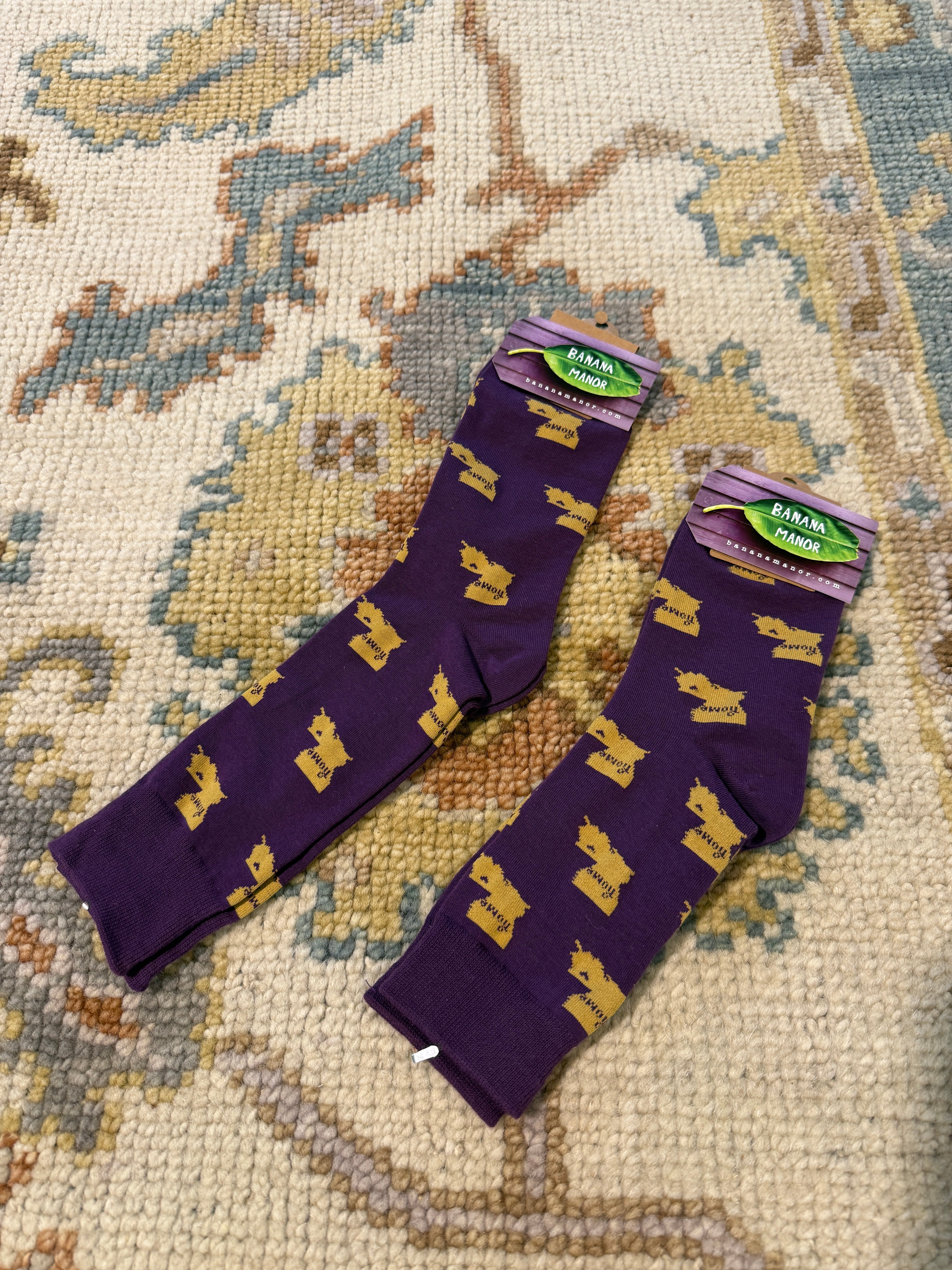 NOLA Themed Socks - Louisiana State