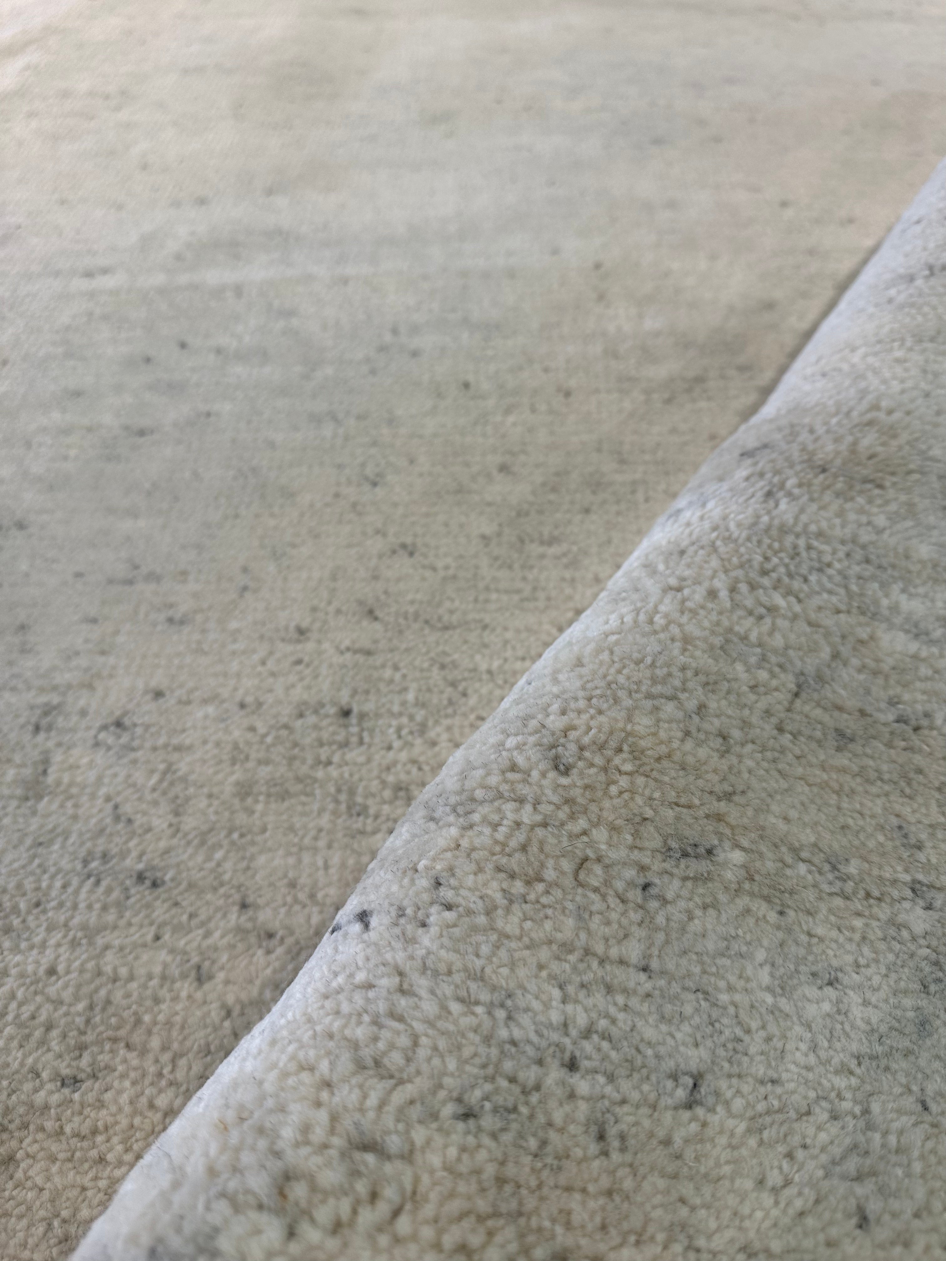 Millian Magnum 9x12 Hand-Knotted Natural Modern