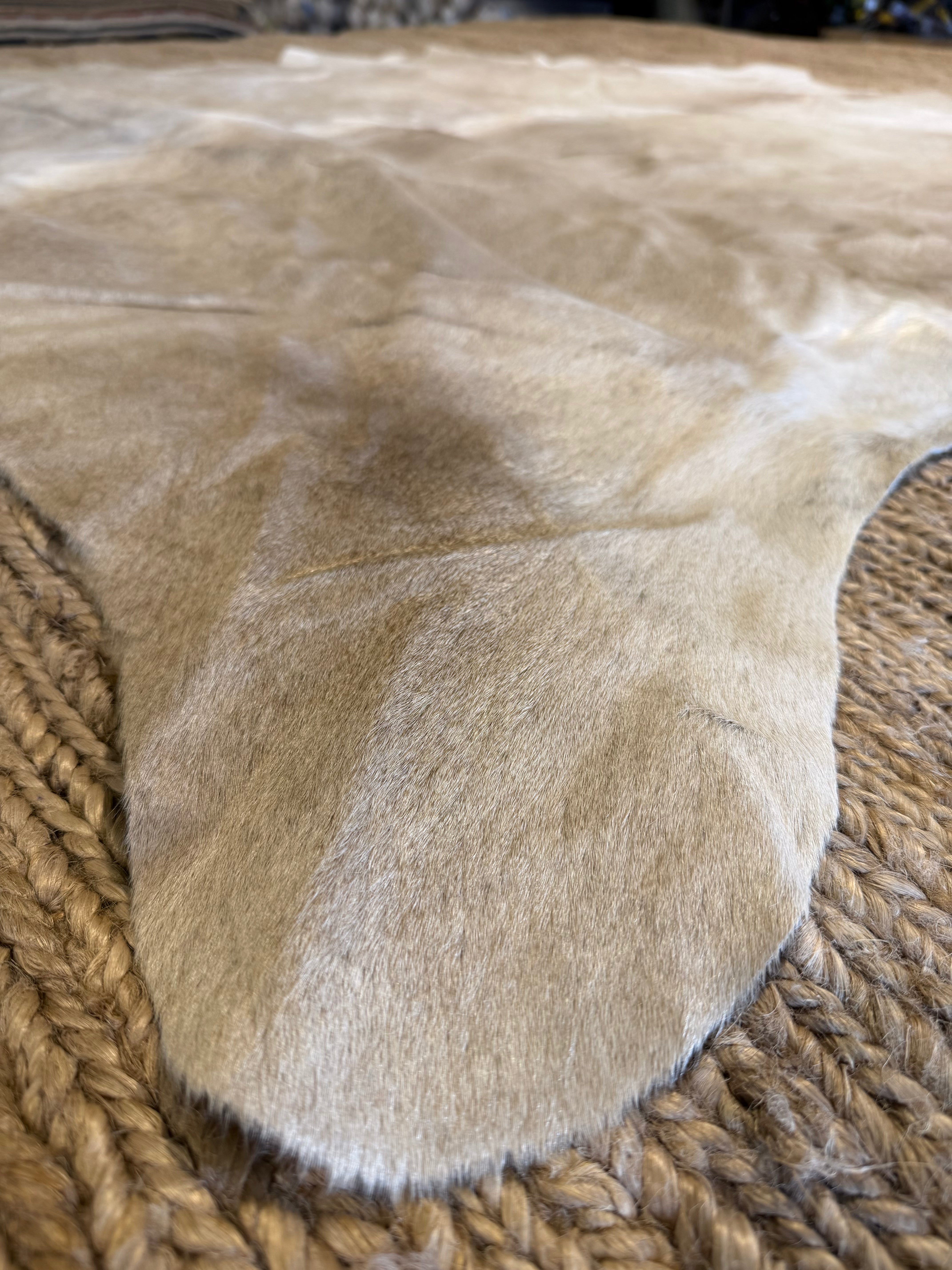 Gris Off White Cowhide Rug 5.6x6.11