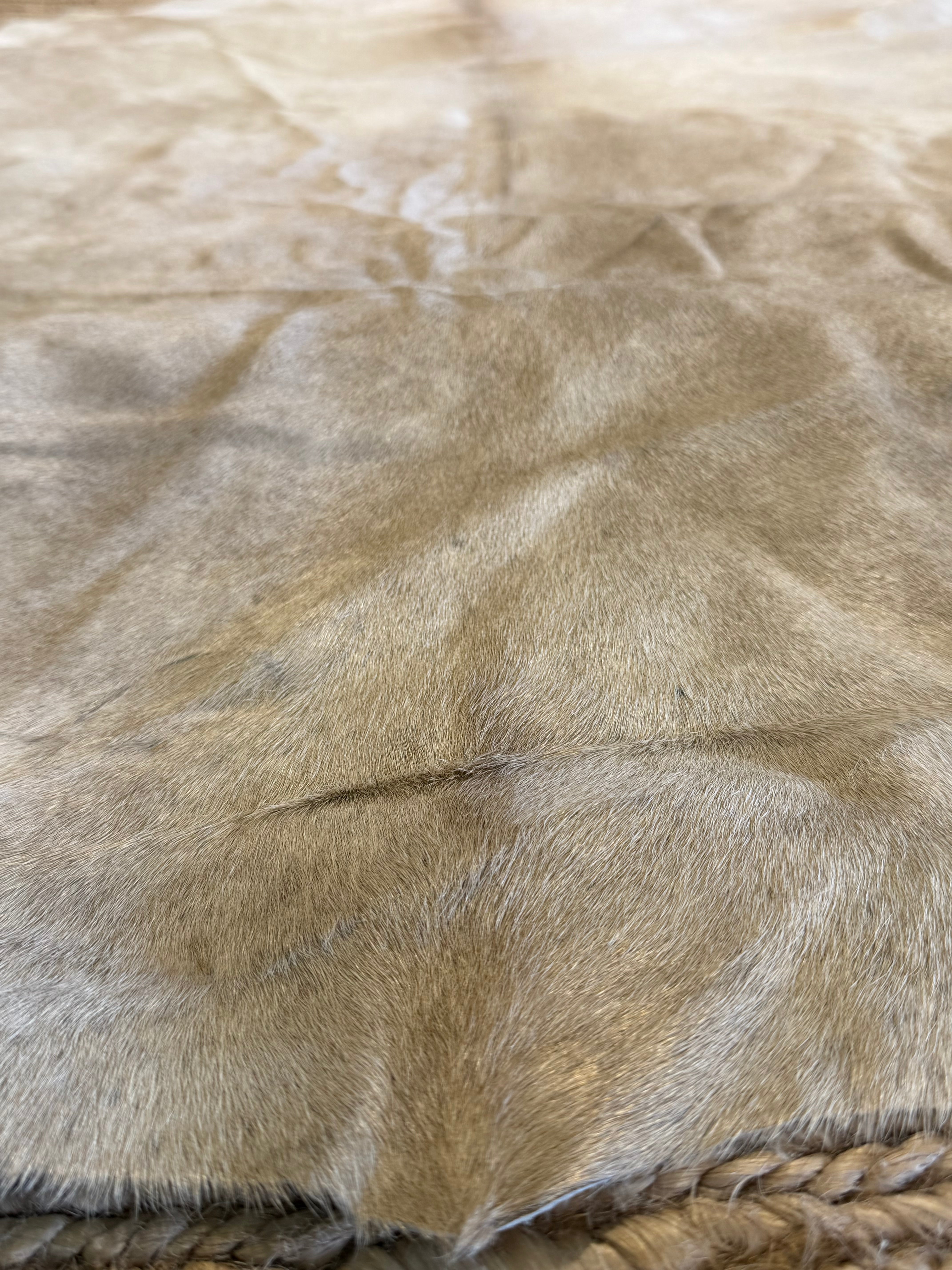Gris Off White Cowhide Rug 5.6x6.11