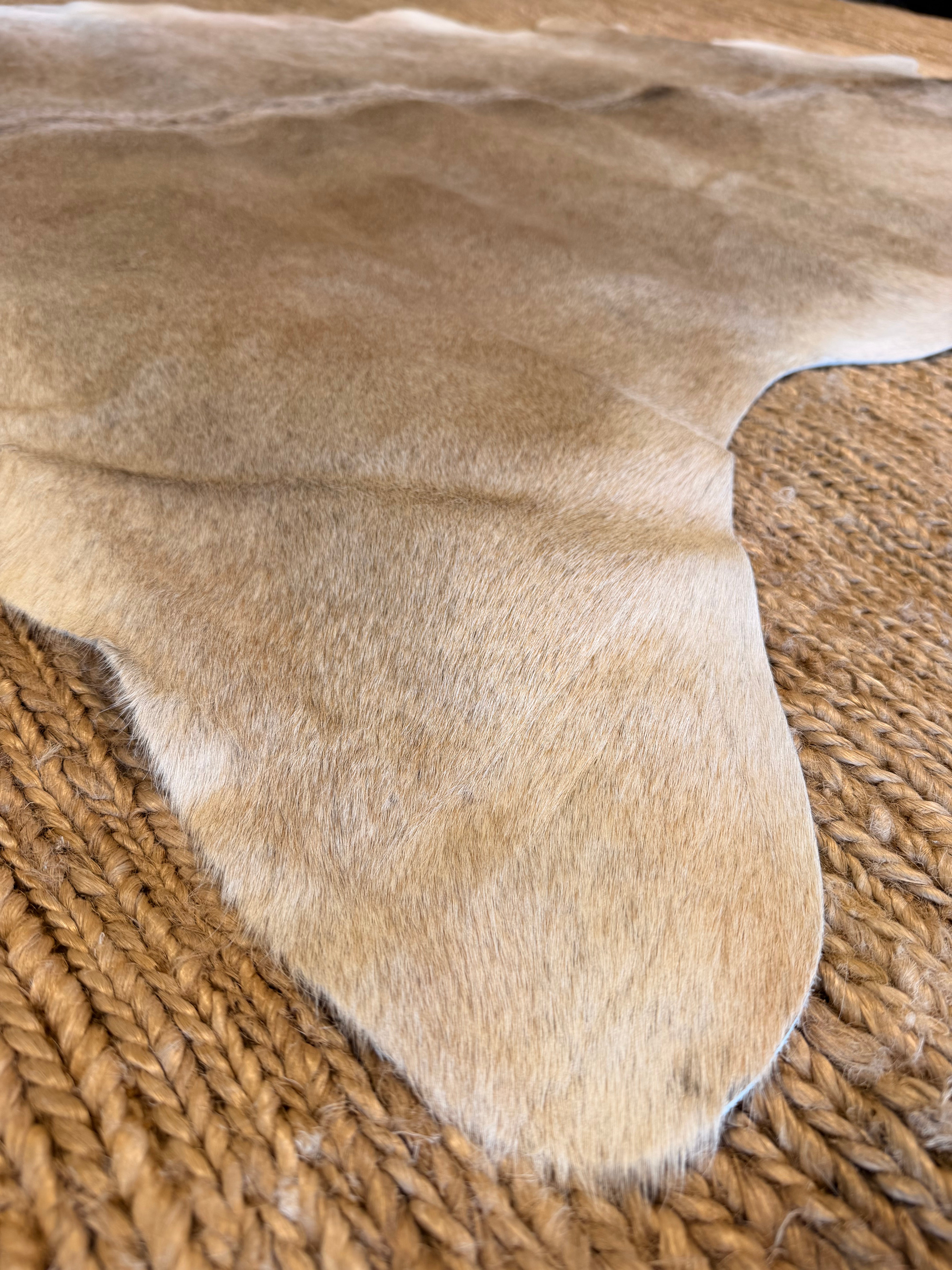 Exotic Light Cowhide Rug 6.1x7