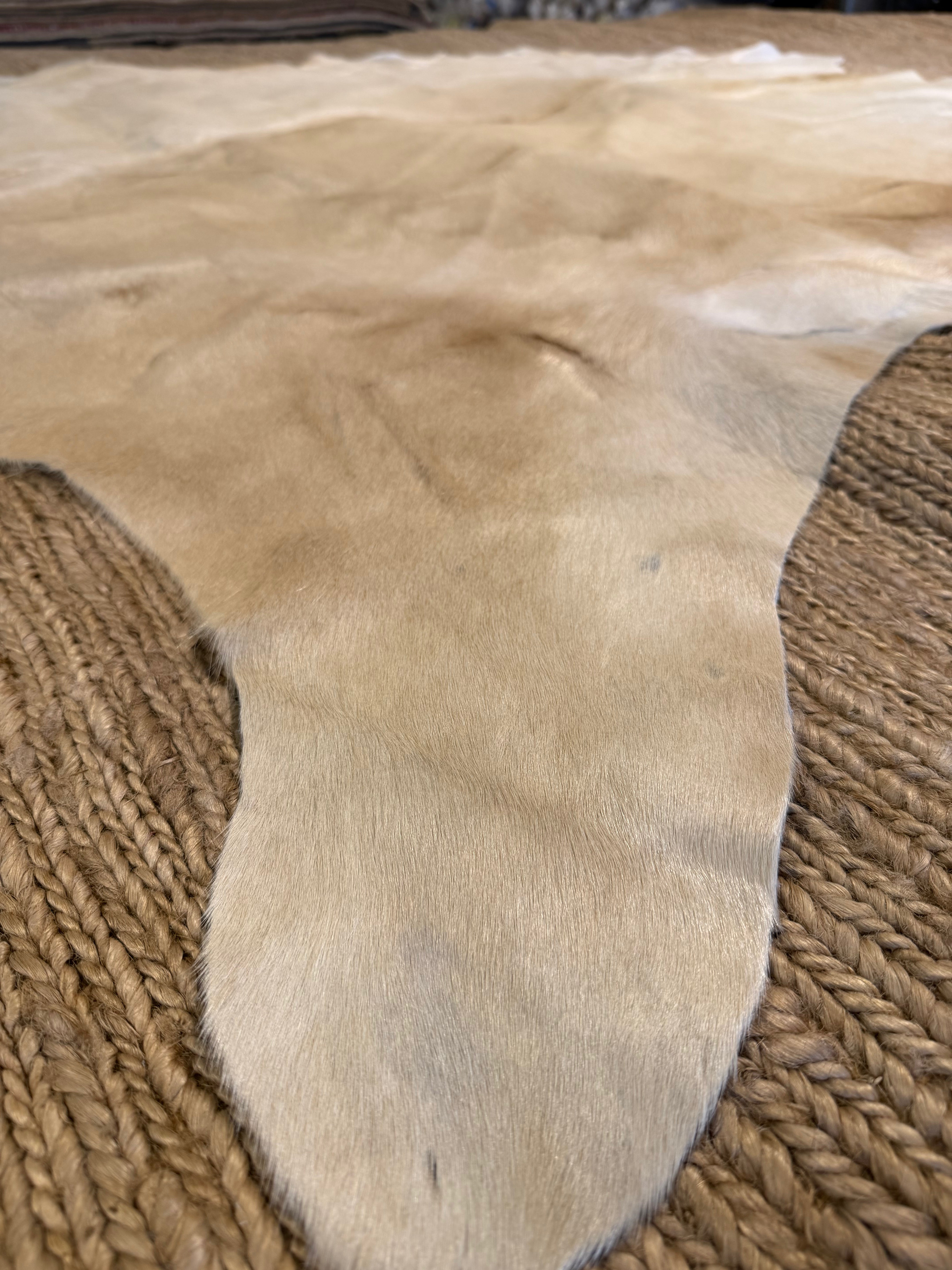 Off White Cowhide Rug 6x6.9