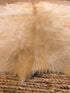 Beige White Exotic Cowhide Rug 6.4x7.2