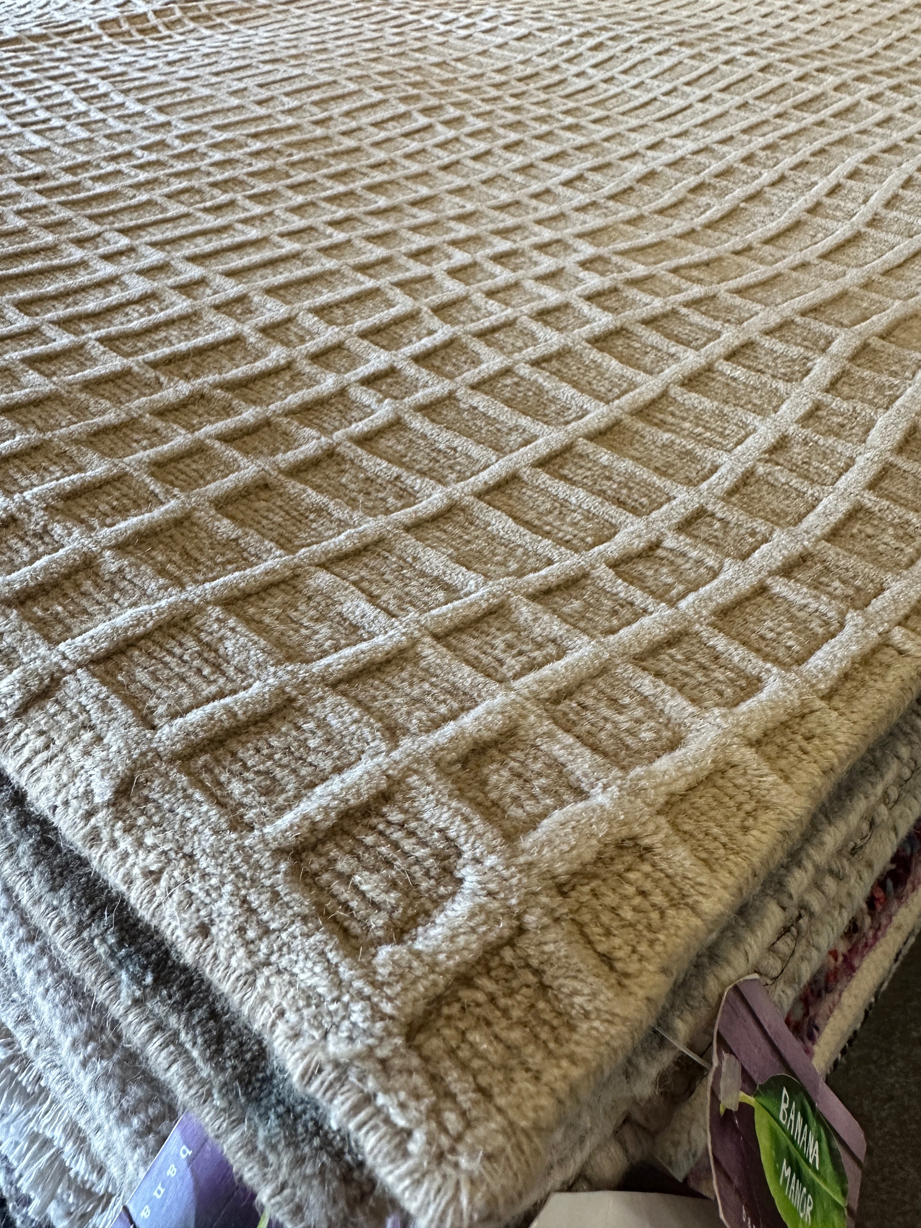 Chip Forestall 10x14 Cream Mesh Hillcrest Tibetan Rug