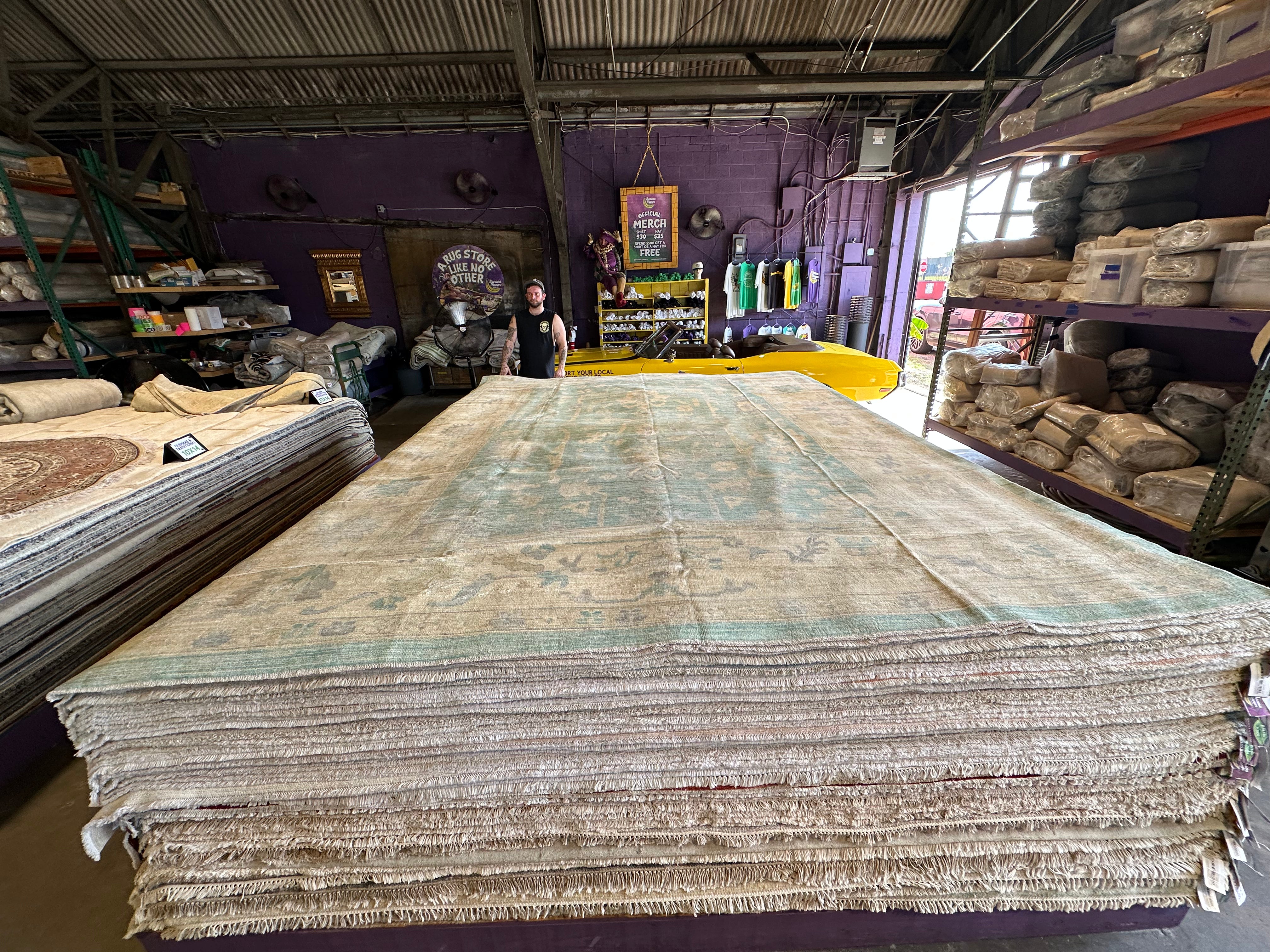 Renate Reinsve 9.10x13.7 Colorful Afghani Oushak Rug