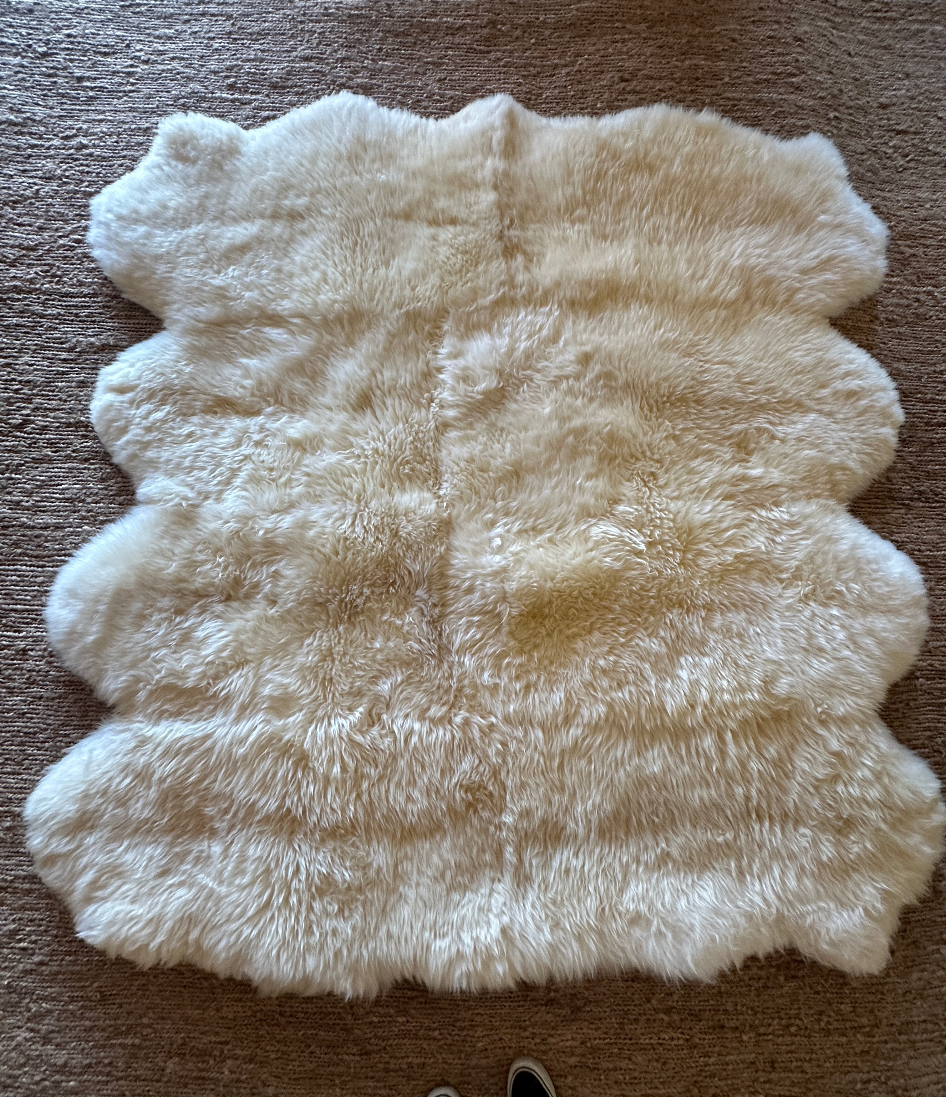 Eight Pelt 5.11x6.2 White Sheepskin Rug