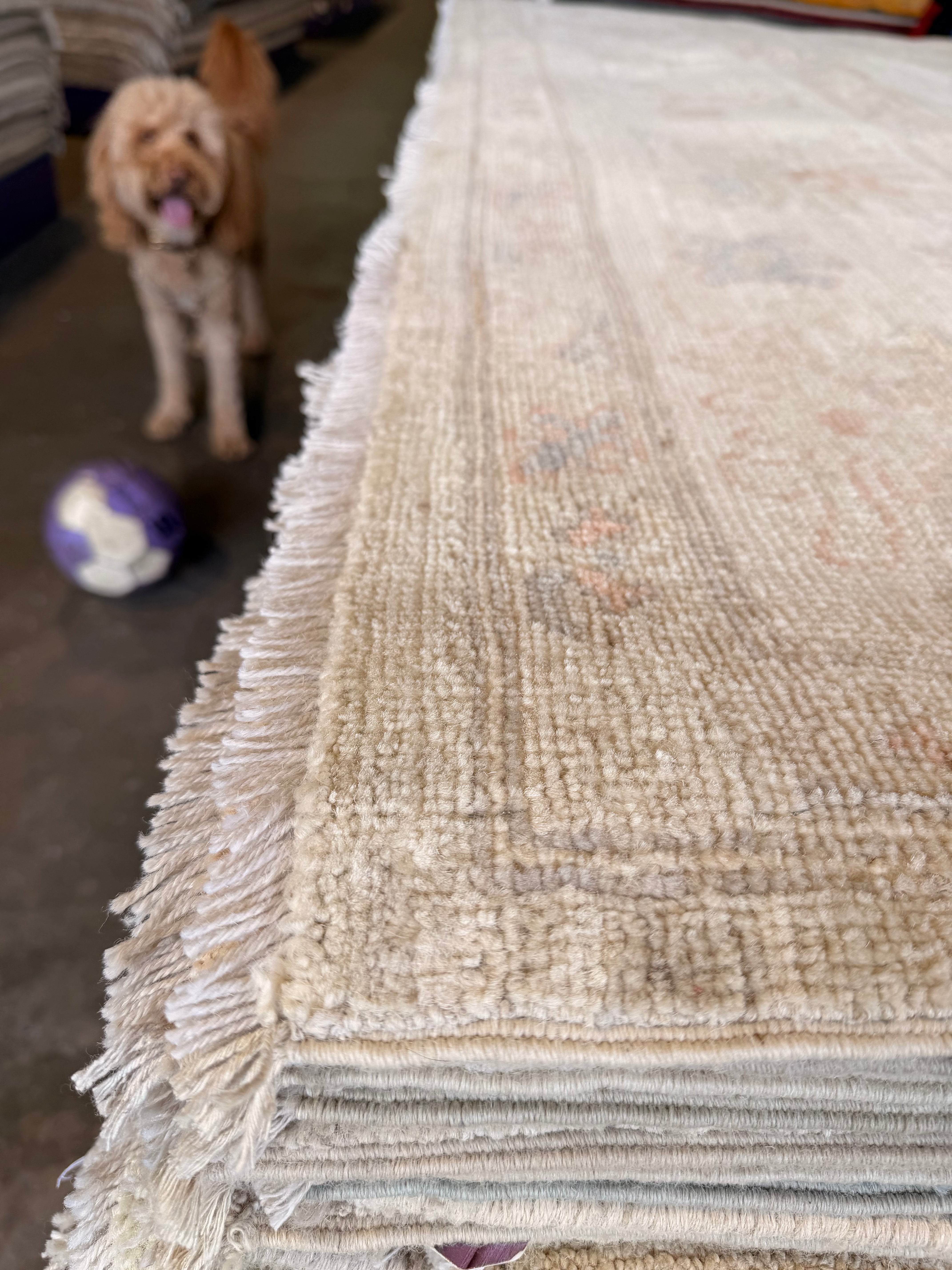 Mary Griffith 9.1x11.11 Multicolor Afghani Whitewashed Oushak