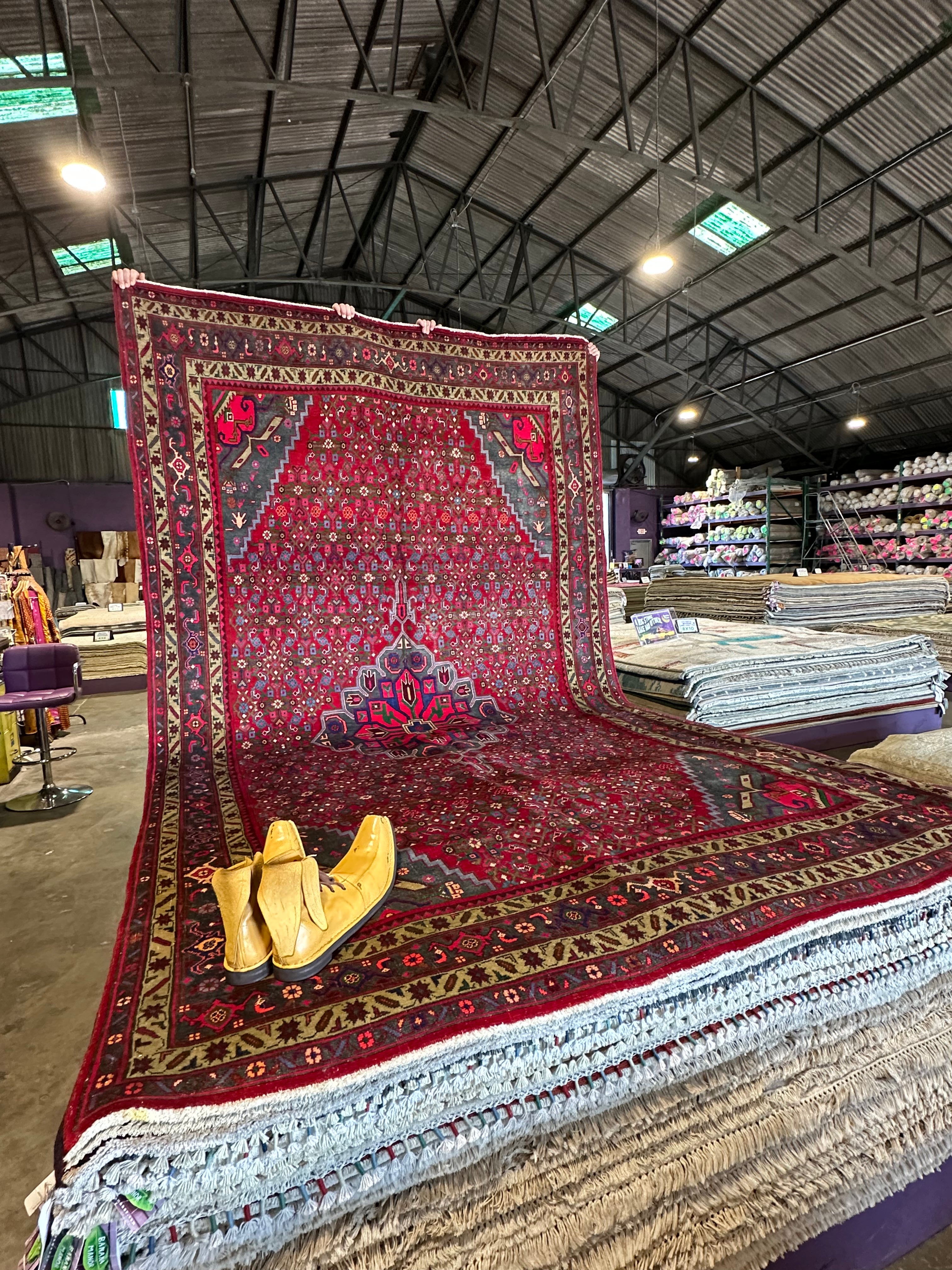 Kelly Robbins 6.9x11.6 Red Afghani Bijar Rug