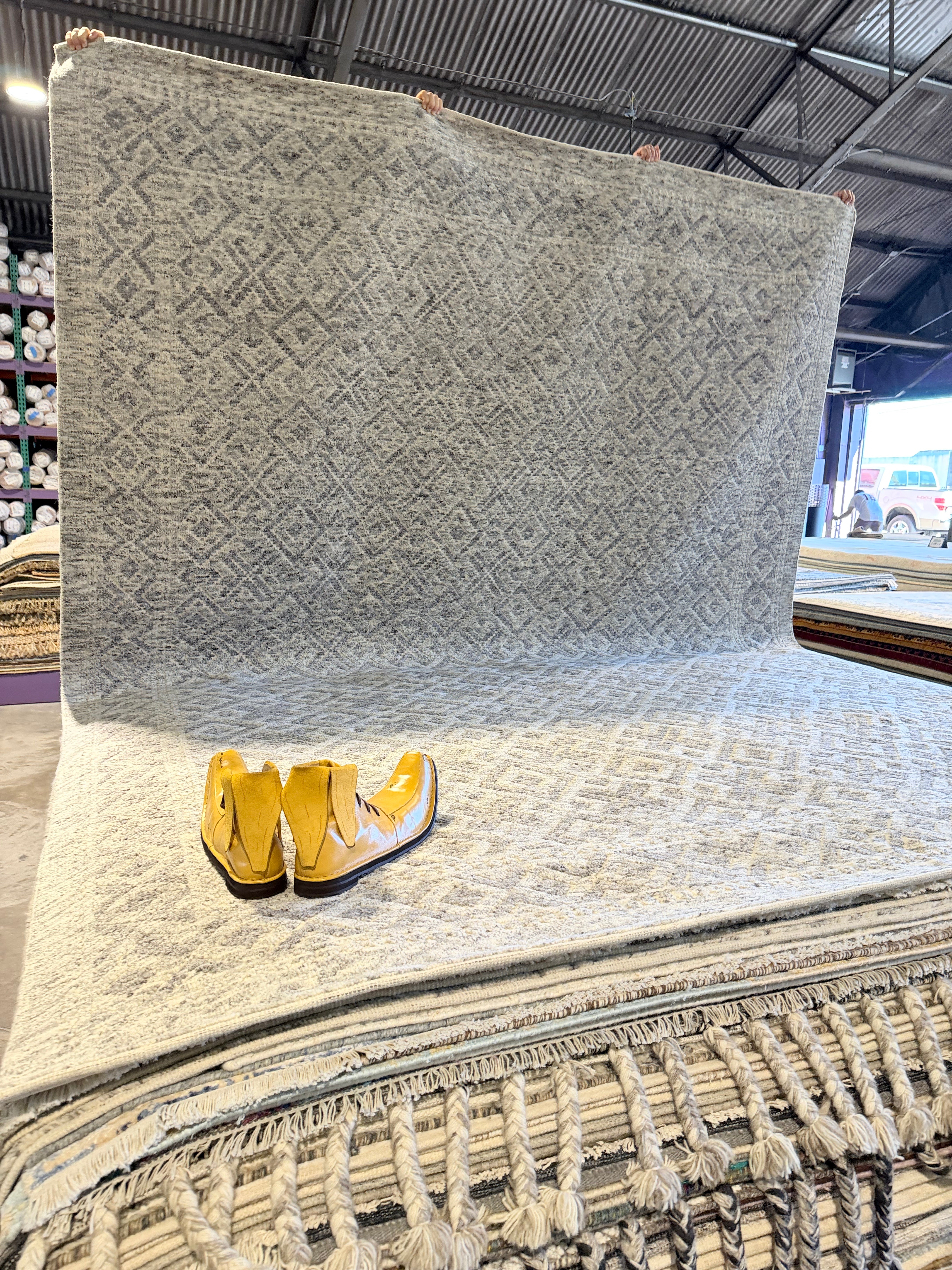 Werner 9.3x12 Hand-Knotted Grey & Silver Modern