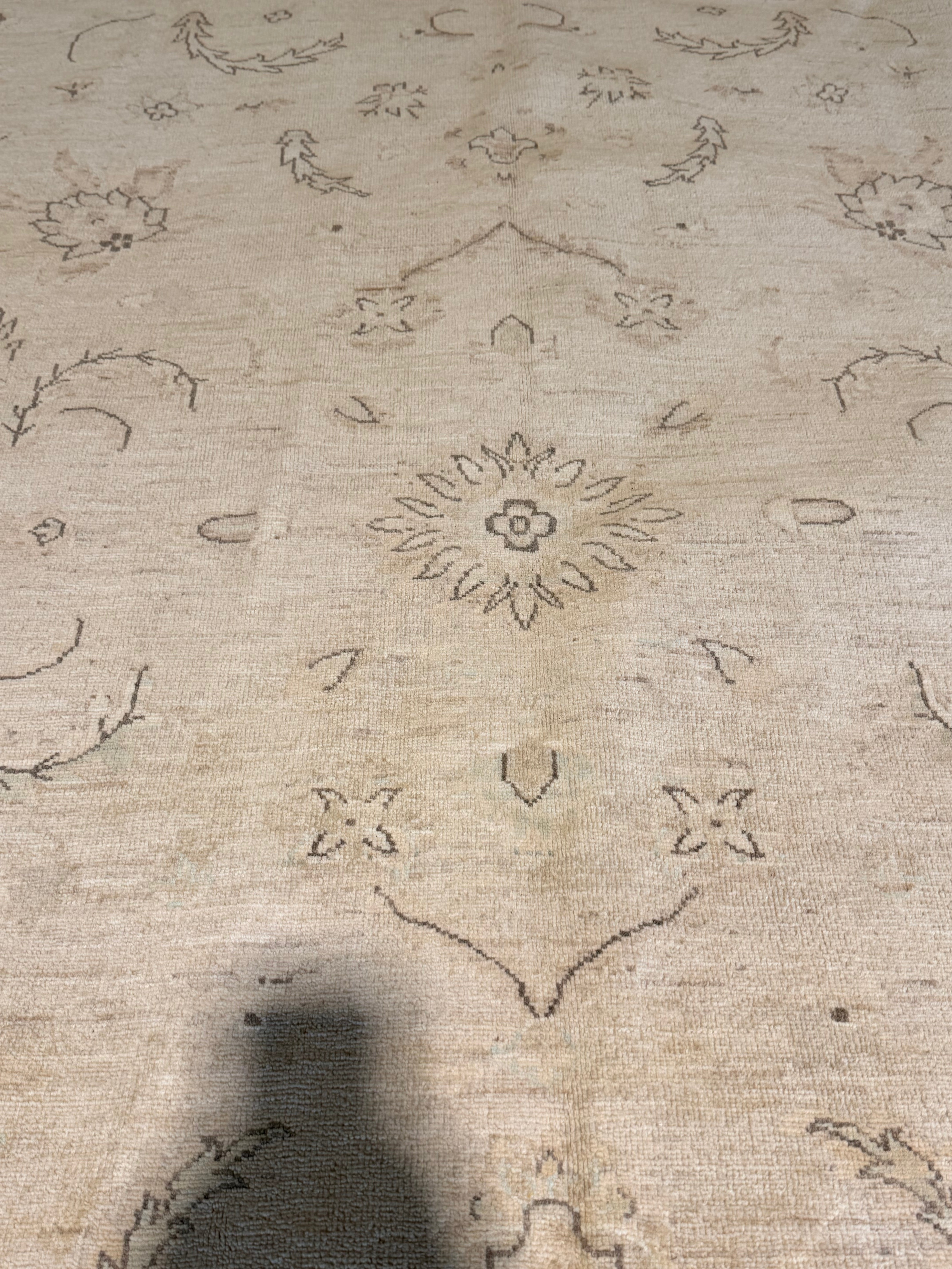 Natalia Dyer 7.10x9.7 Afghani Oushak Ivory Rug