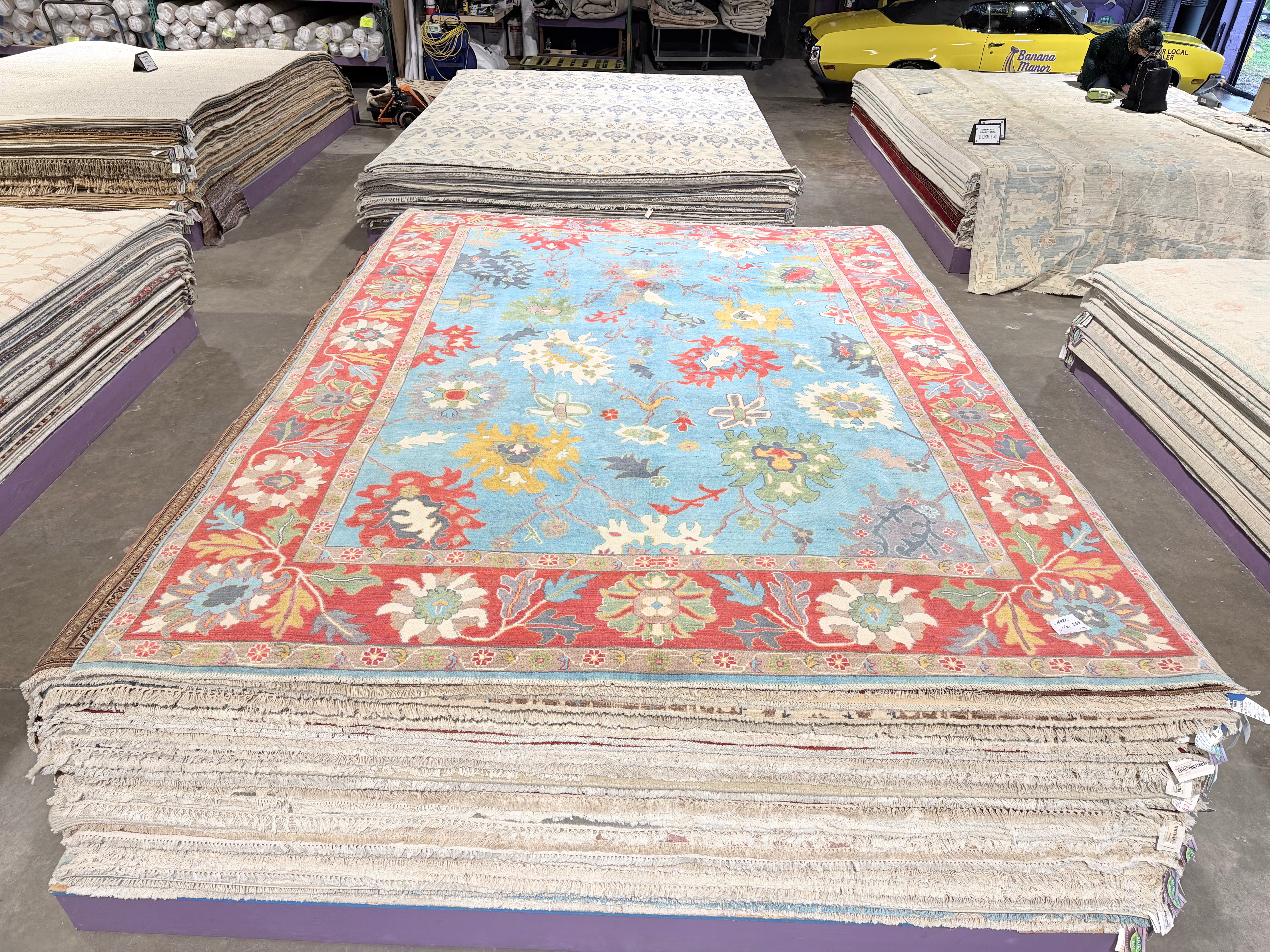 Tina 8.8x11.9 Afghani Aryana Blue and Red Rug