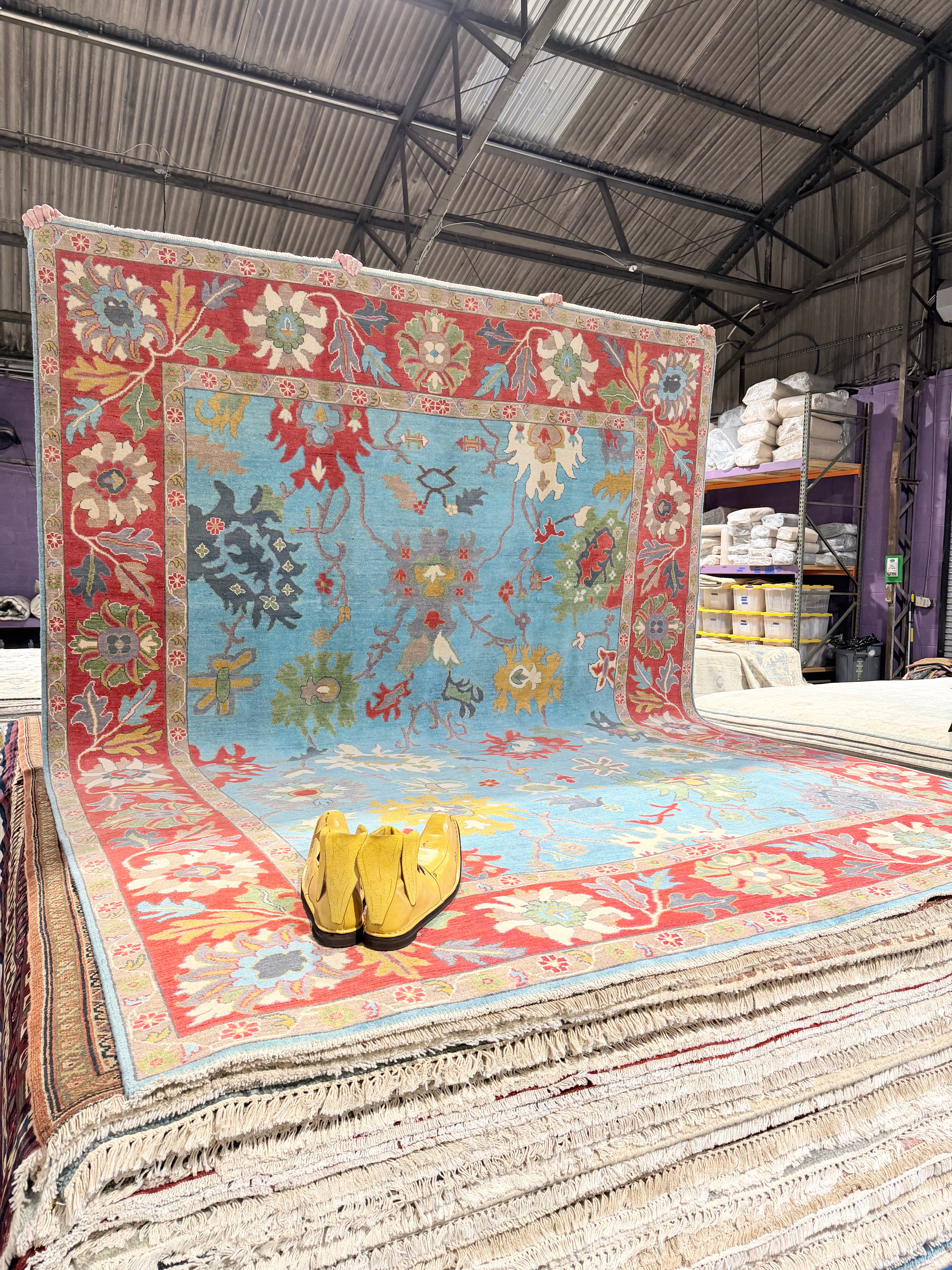 Tina 8.8x11.9 Afghani Aryana Blue and Red Rug