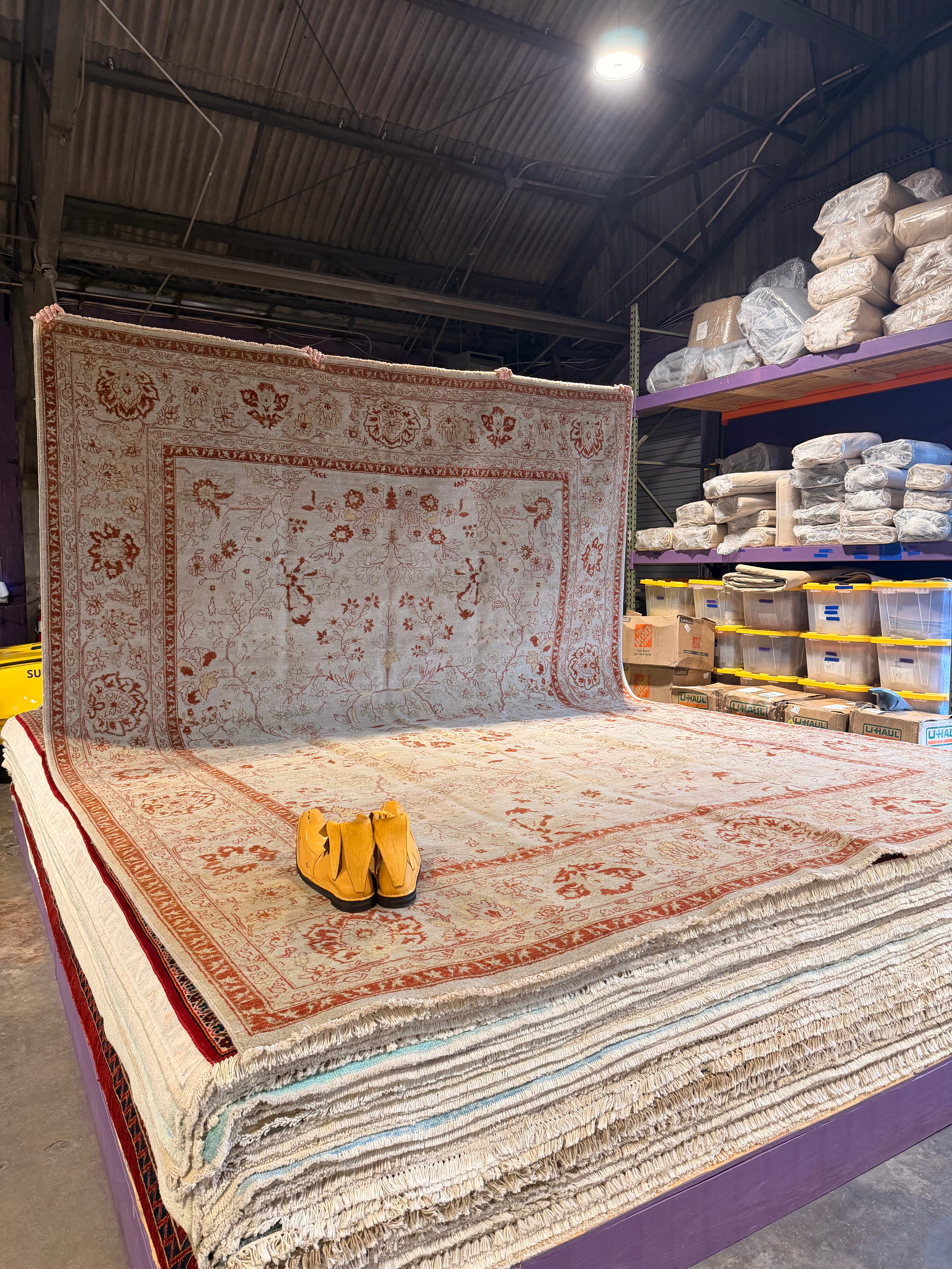 Ms. Kelly 10x13.11 Persian Ivory and Red Rug