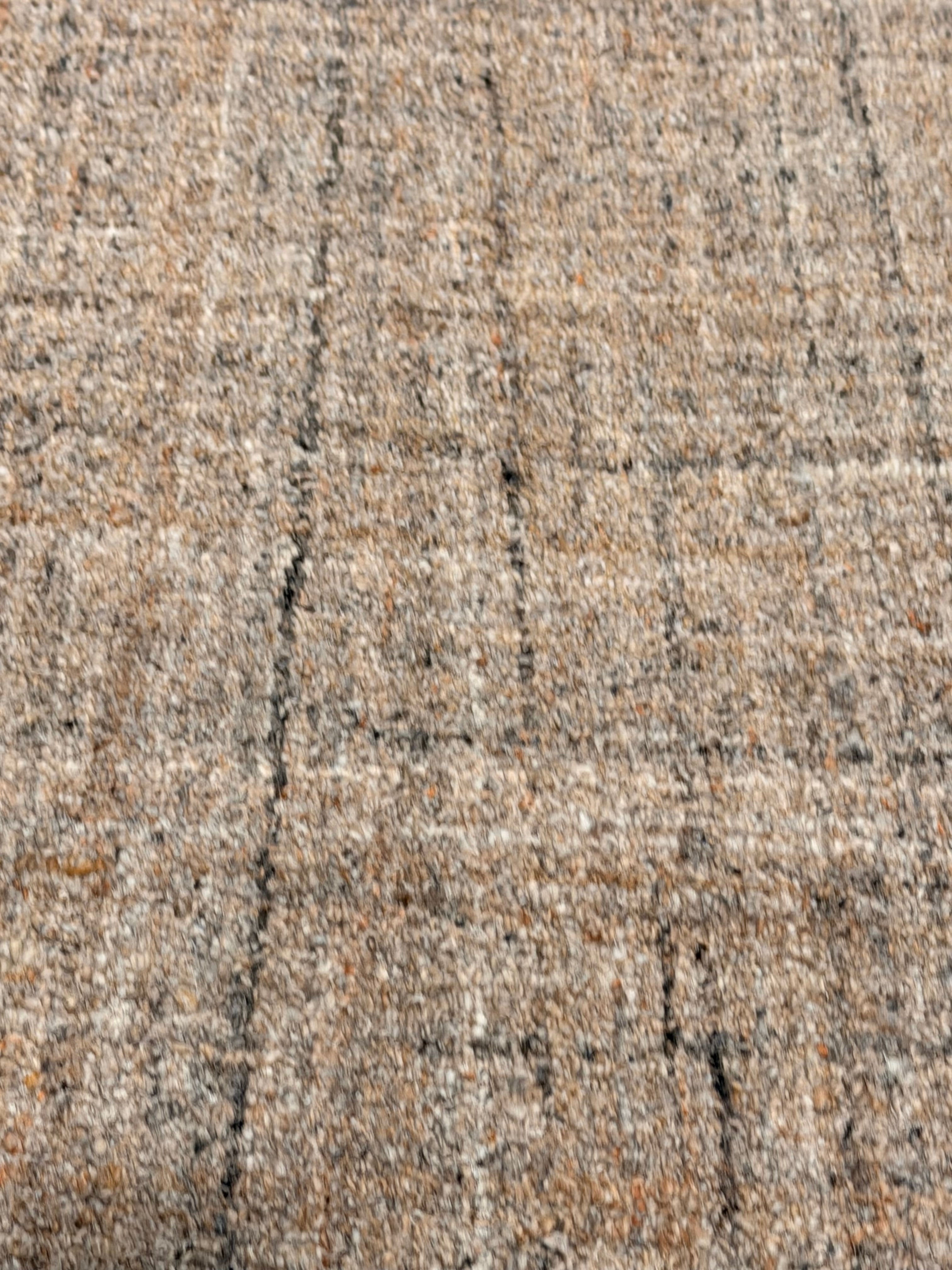 Pal's 8x10 Hand-Tufted Beige Full Loop