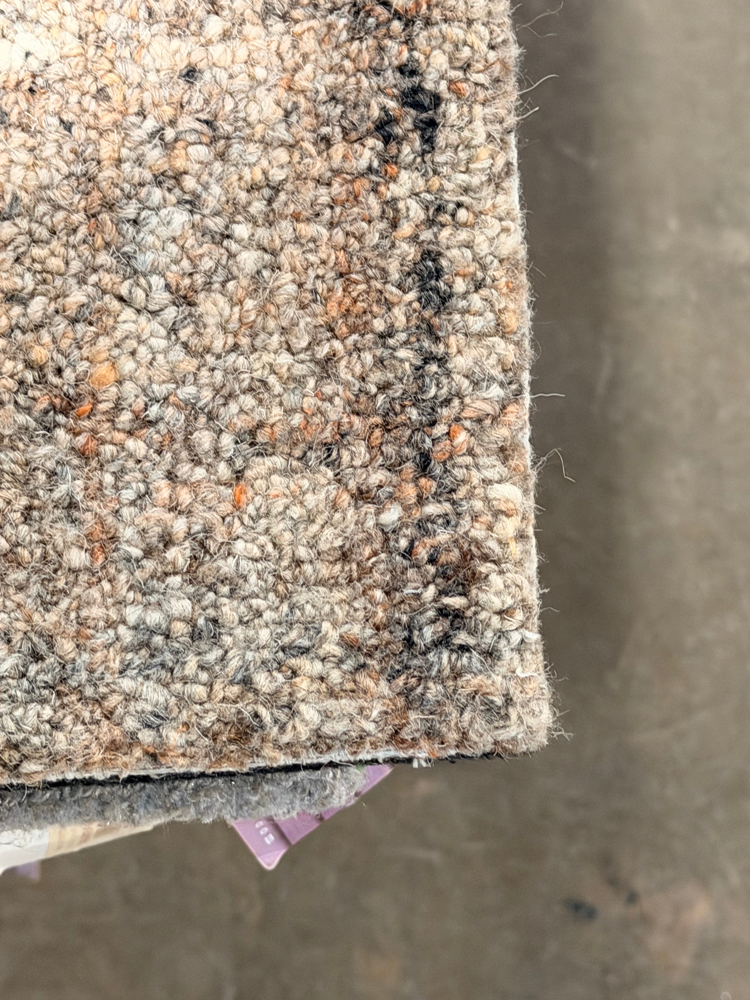 Pal's 8x10 Hand-Tufted Beige Full Loop