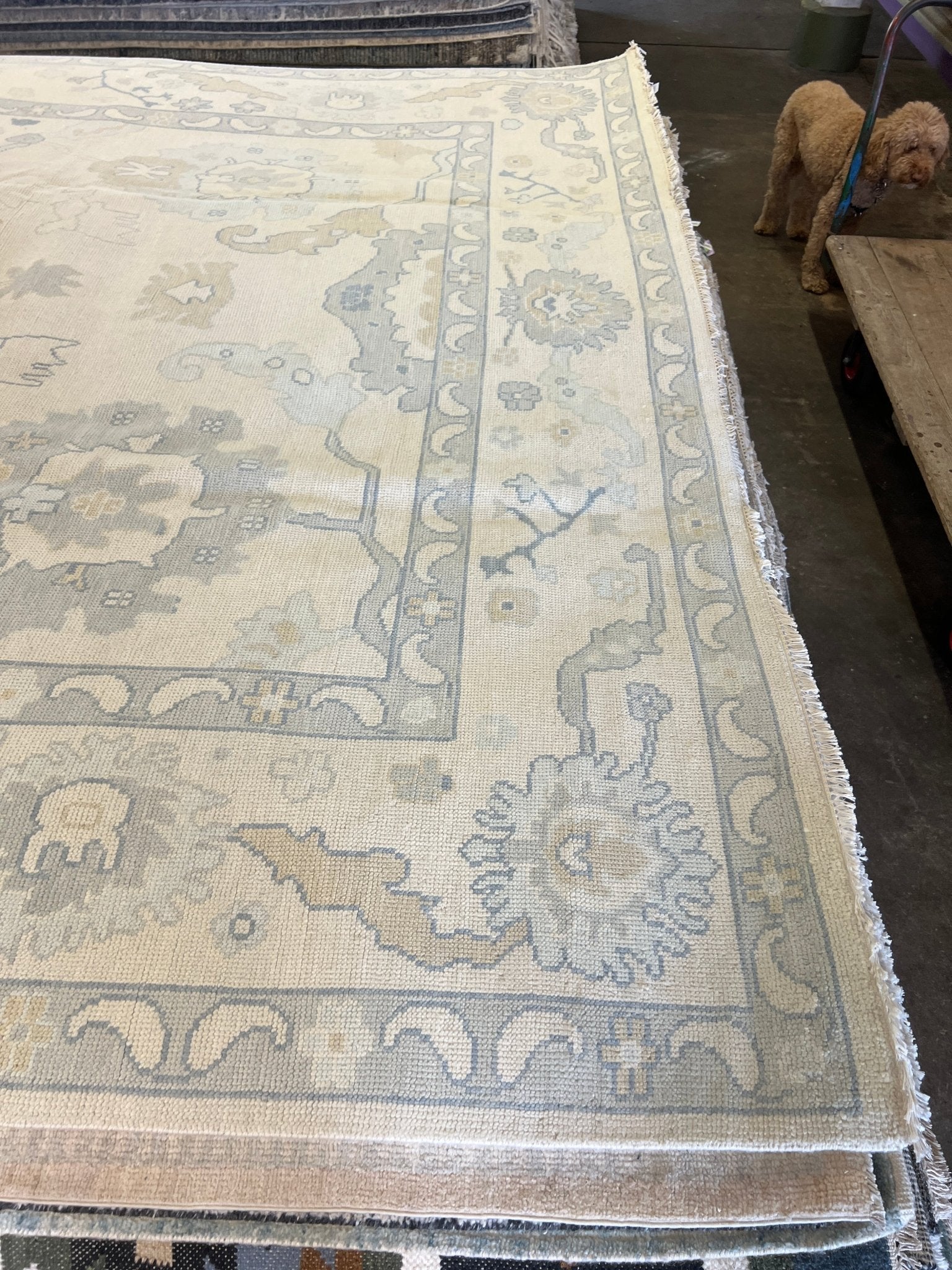 Agniya 9.11x14.2 Hand-Knotted Cream and Gray Oushak | Banana Manor Rug Factory Outlet