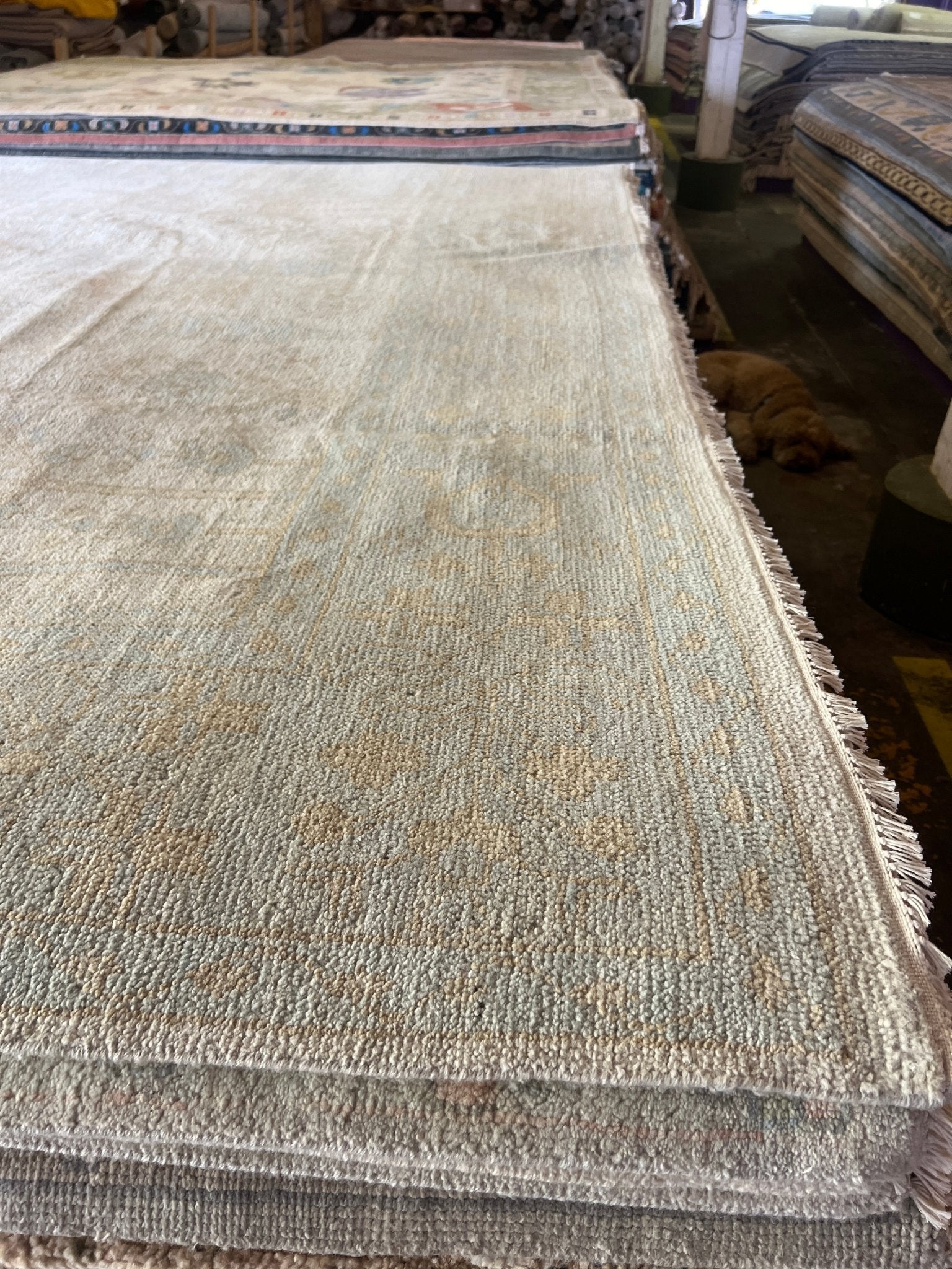 Amber Peel 8.9x12.3 Hand-Knotted Cream and Light Blue Oushak | Banana Manor Rug Factory Outlet