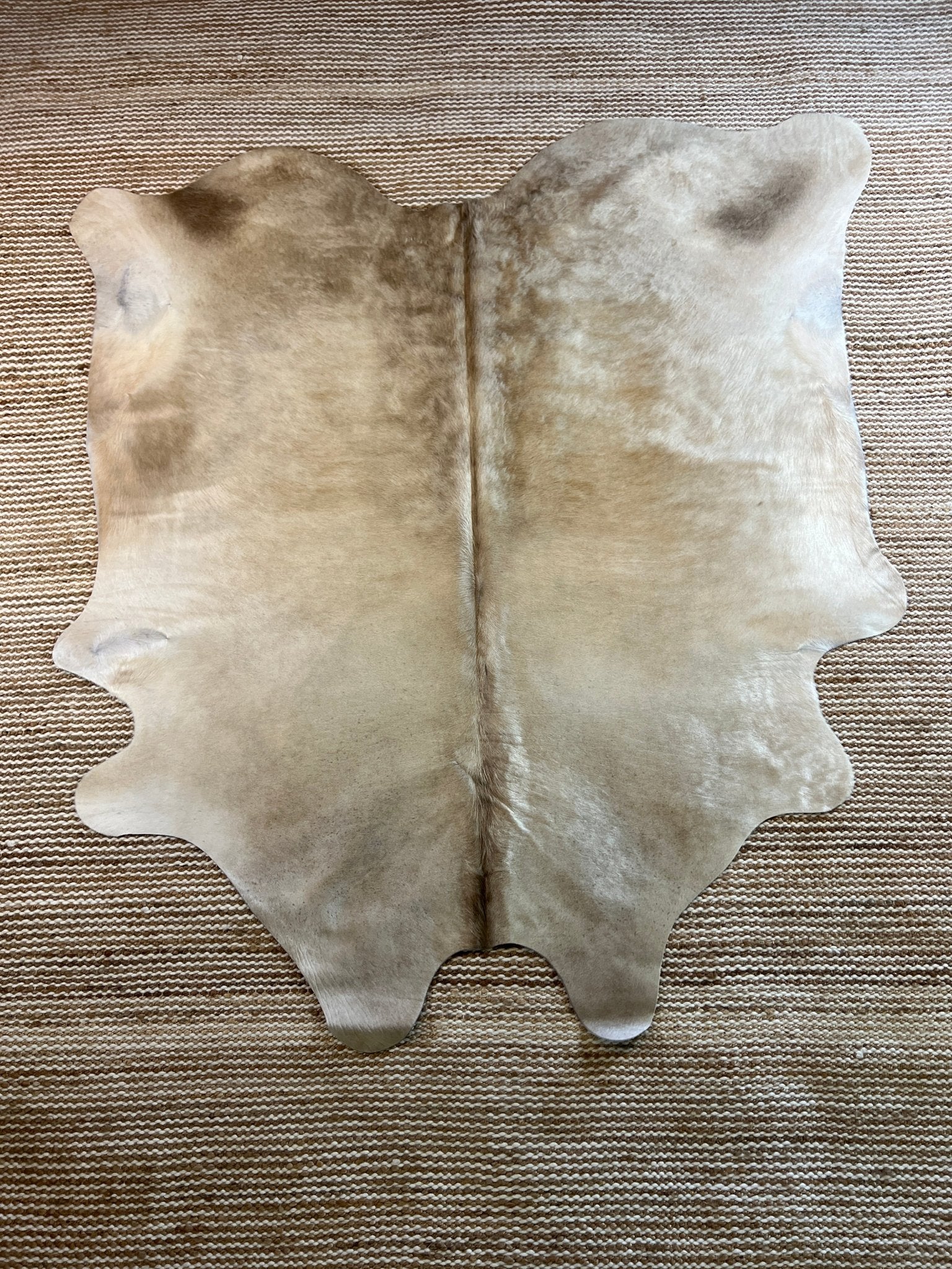 Champagne 6x6.8 Medium Cowhide Rug | Banana Manor Rug Factory Outlet