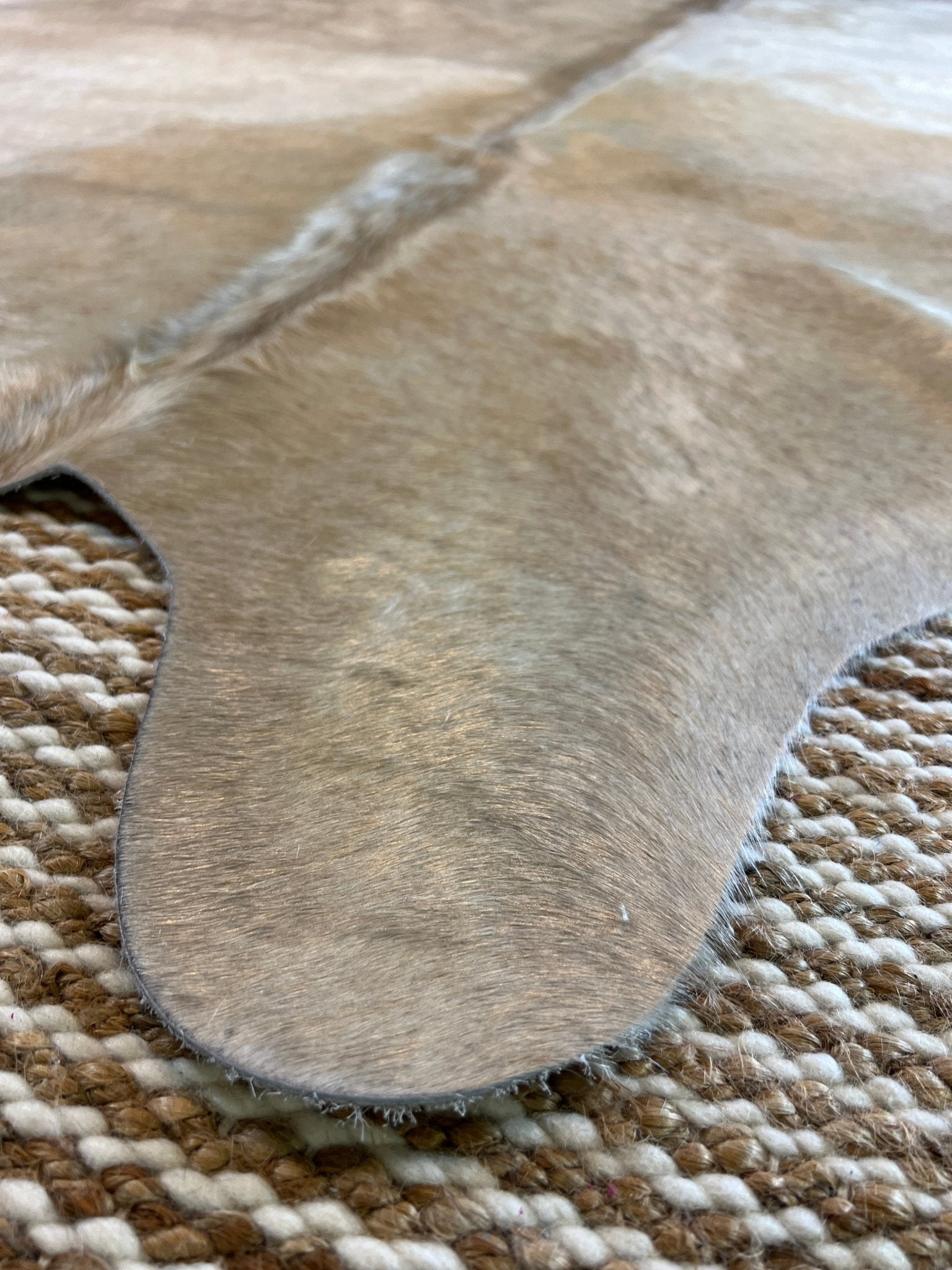 Champagne Grey 5.11x6.8 Medium Cowhide Rug | Banana Manor Rug Factory Outlet