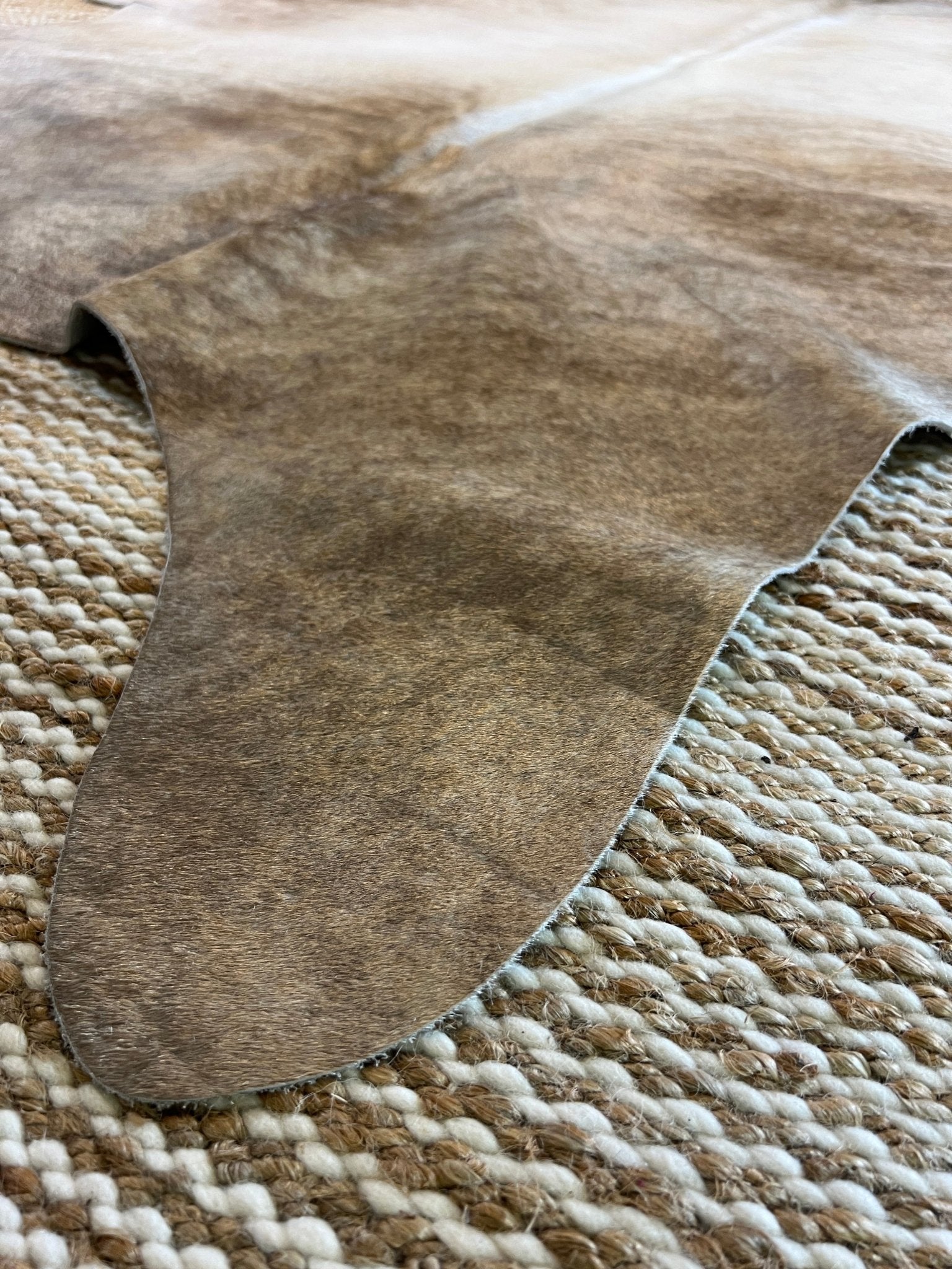 Exotic Med 6.3x7.3 Large Cowhide Rug | Banana Manor Rug Factory Outlet
