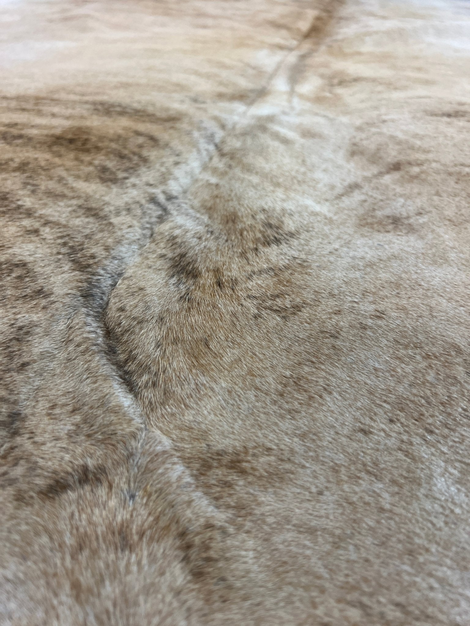 Exotic Med 6.8x8.9 Large Cowhide Rug | Banana Manor Rug Factory Outlet