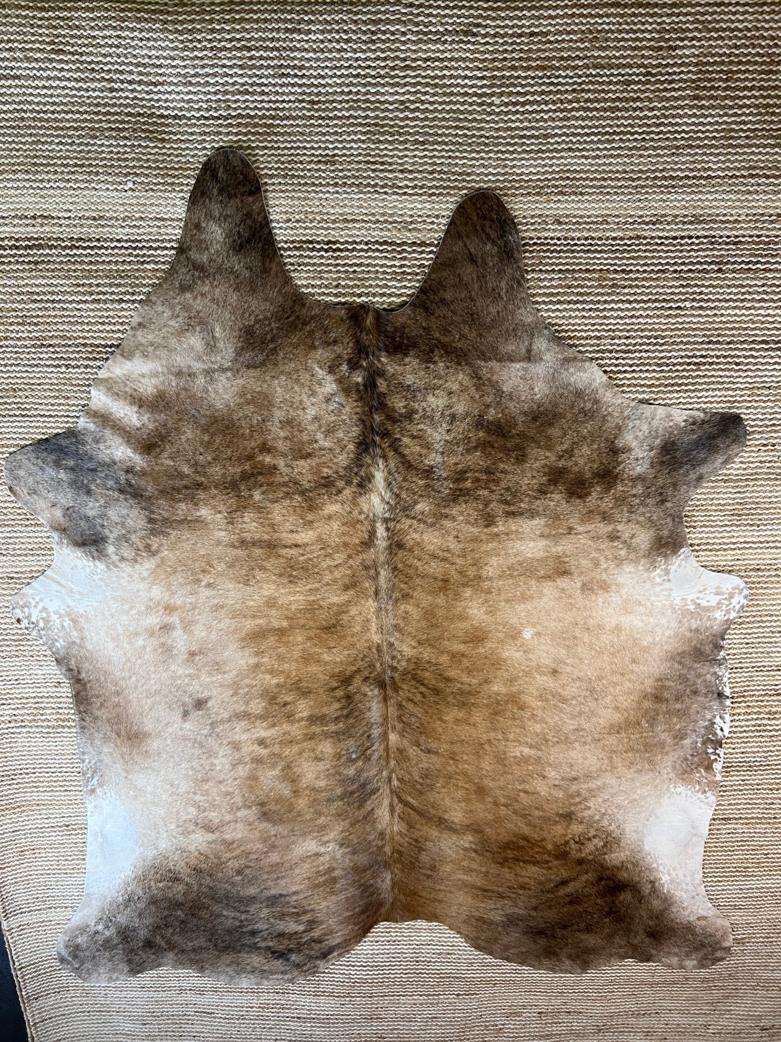 Exotic Med 7.2x8.3 Large Cowhide Rug | Banana Manor Rug Factory Outlet