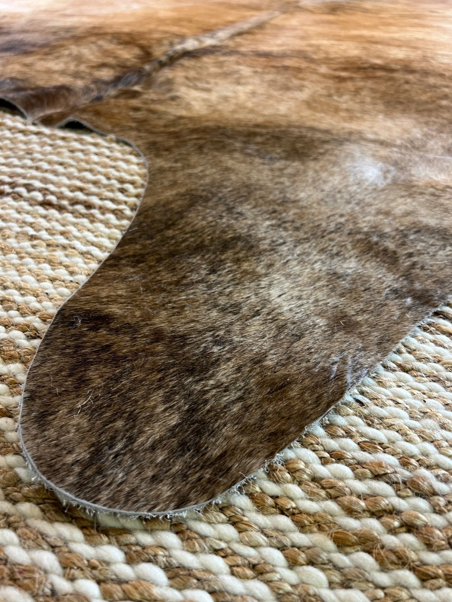 Exotic Med 7.2x8.3 Large Cowhide Rug | Banana Manor Rug Factory Outlet