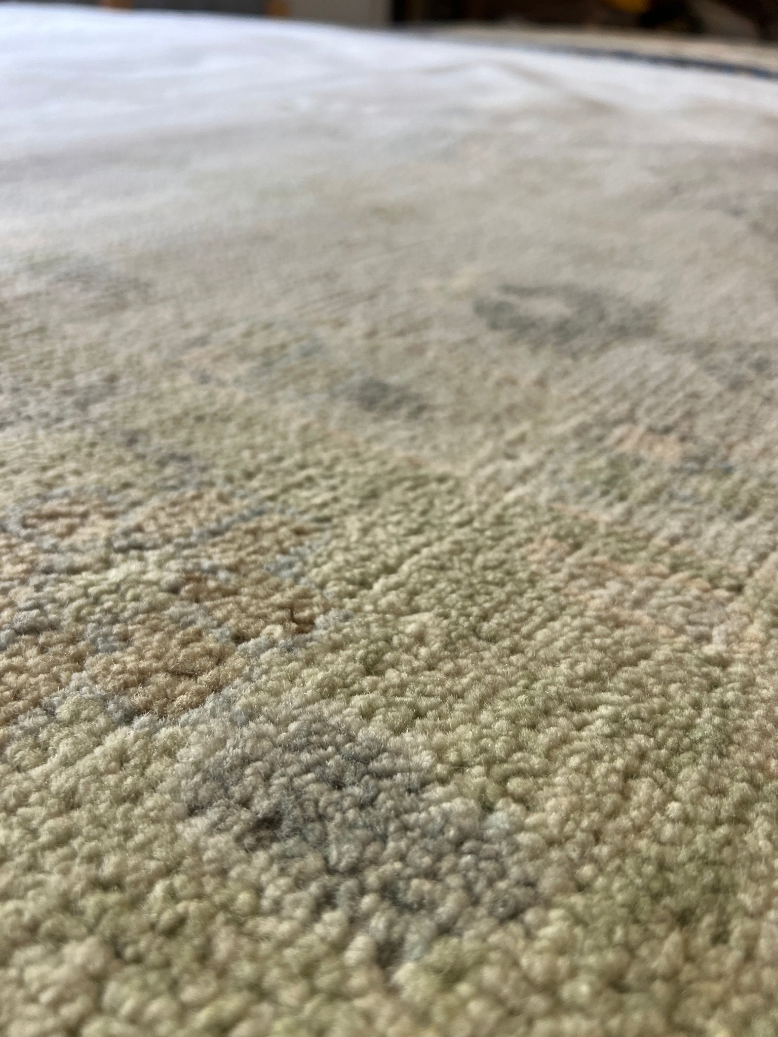 Madame Tattevin 9.0x12.6 Hand-Knotted Cream and Green Oushak | Banana Manor Rug Factory Outlet