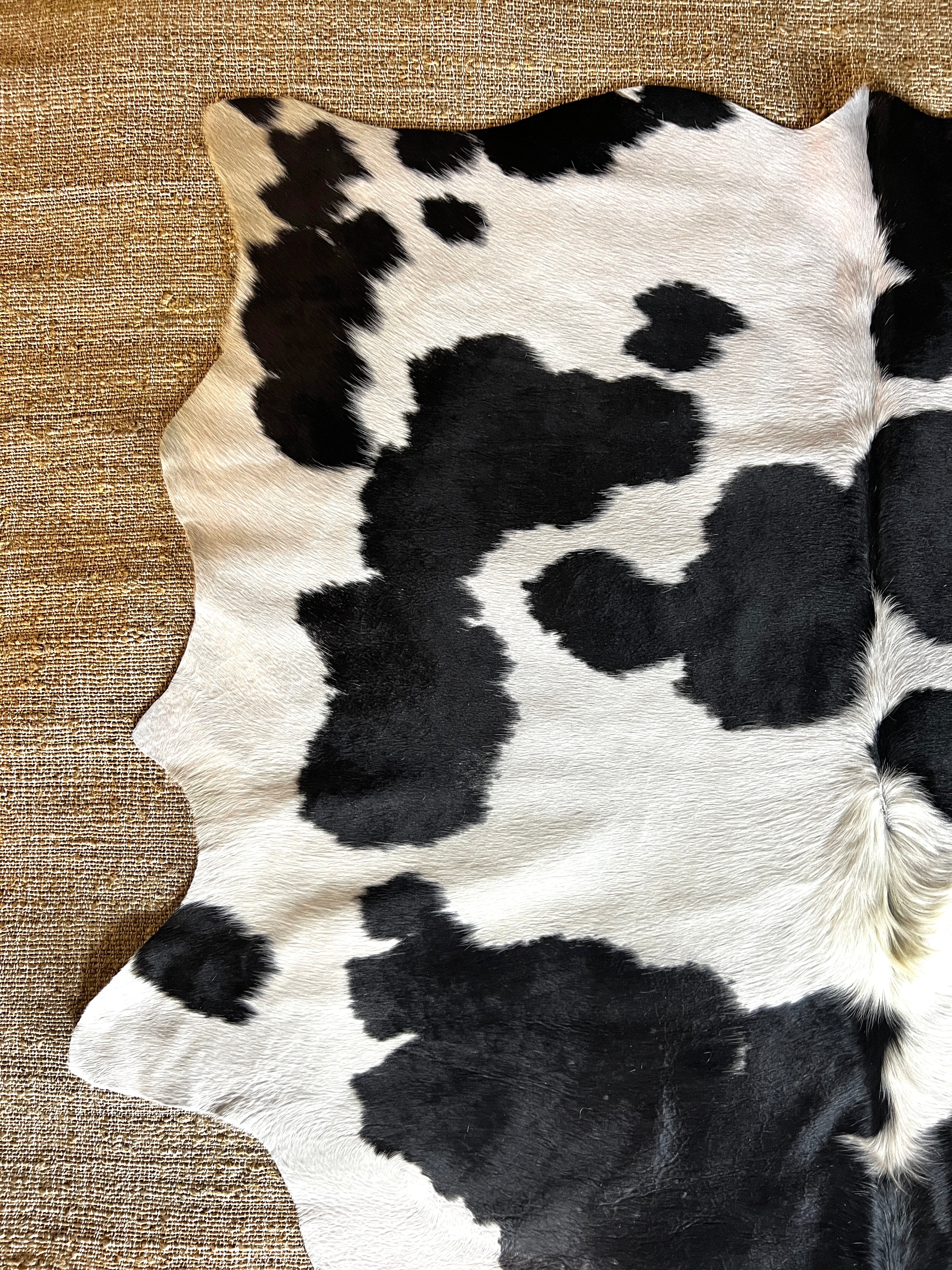 Black and White Spotted Small 5.4x5.4 Cowhide Rug | Banana Manor Rug Company