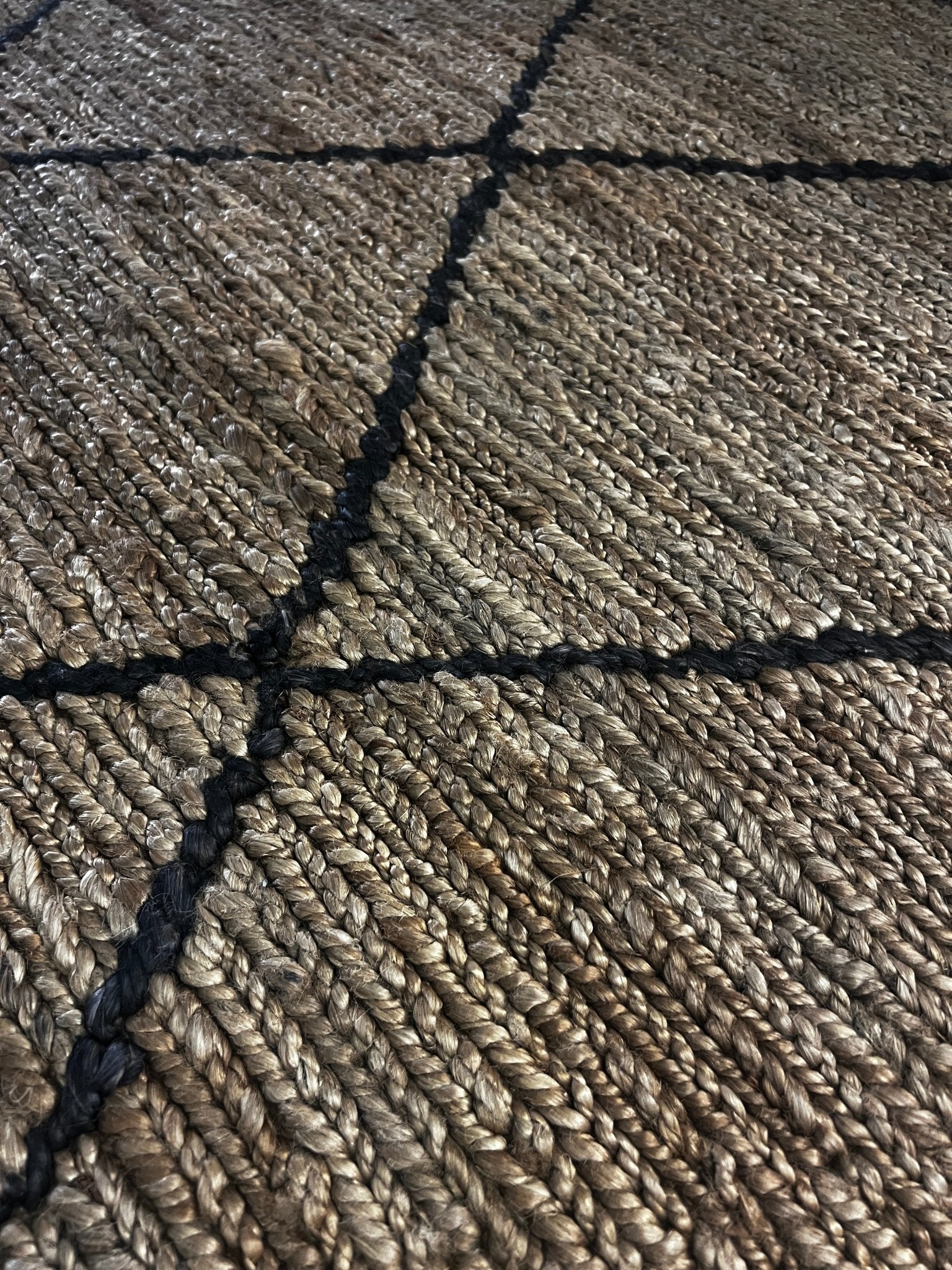 Agent Jones 6.6x9.9 Natural Black Jute Soumak | Banana Manor Rug Factory Outlet