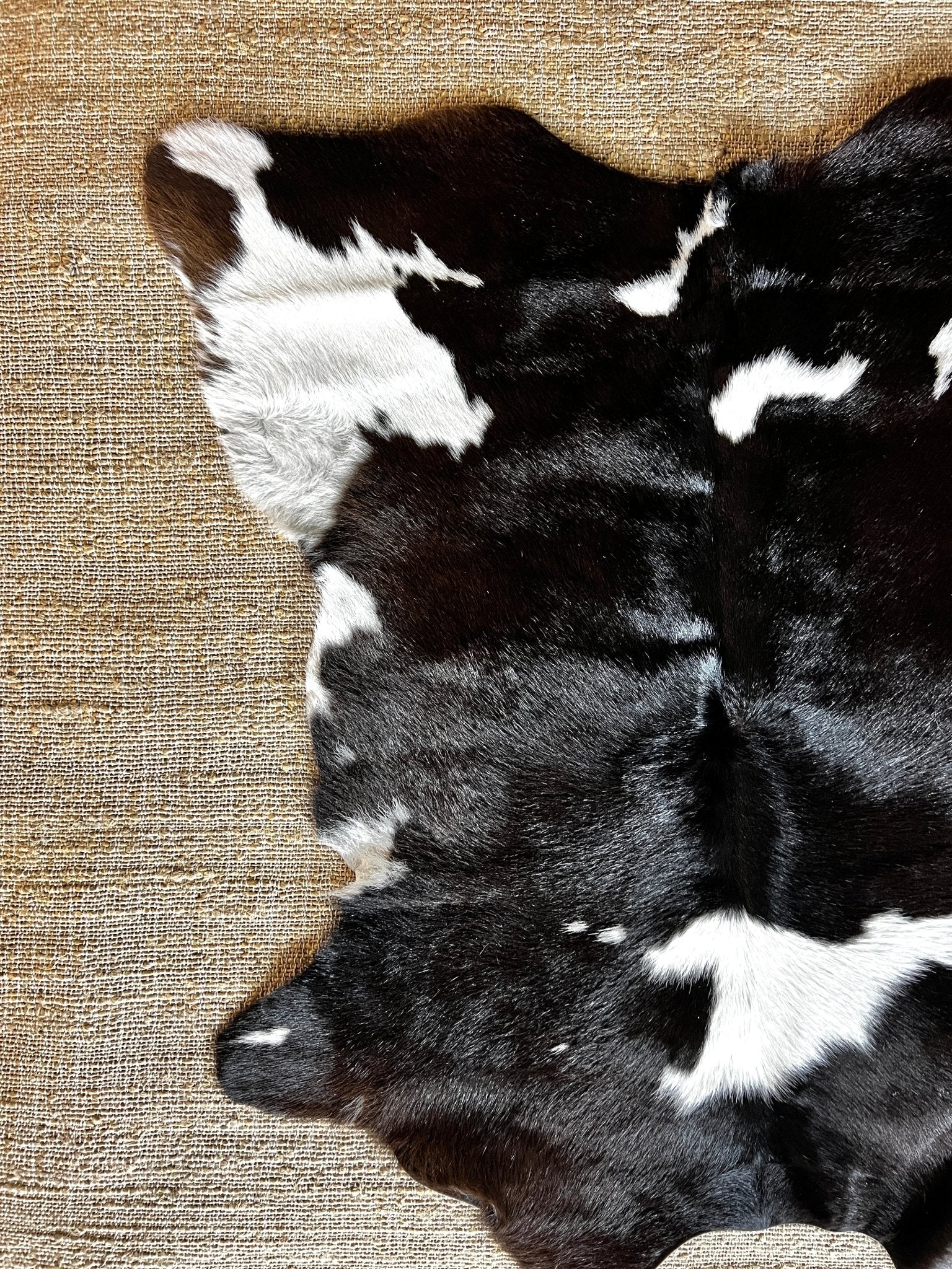 Black and White Spotted Small 3.4x3.11 Cowhide Rug | Banana Manor Rug Company
