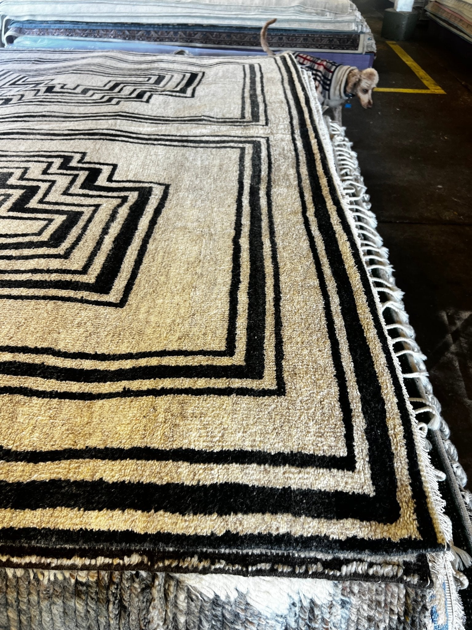 Bud 9x12 Hand-Knotted Beige & Dark Grey Modern | Banana Manor Rug Factory Outlet