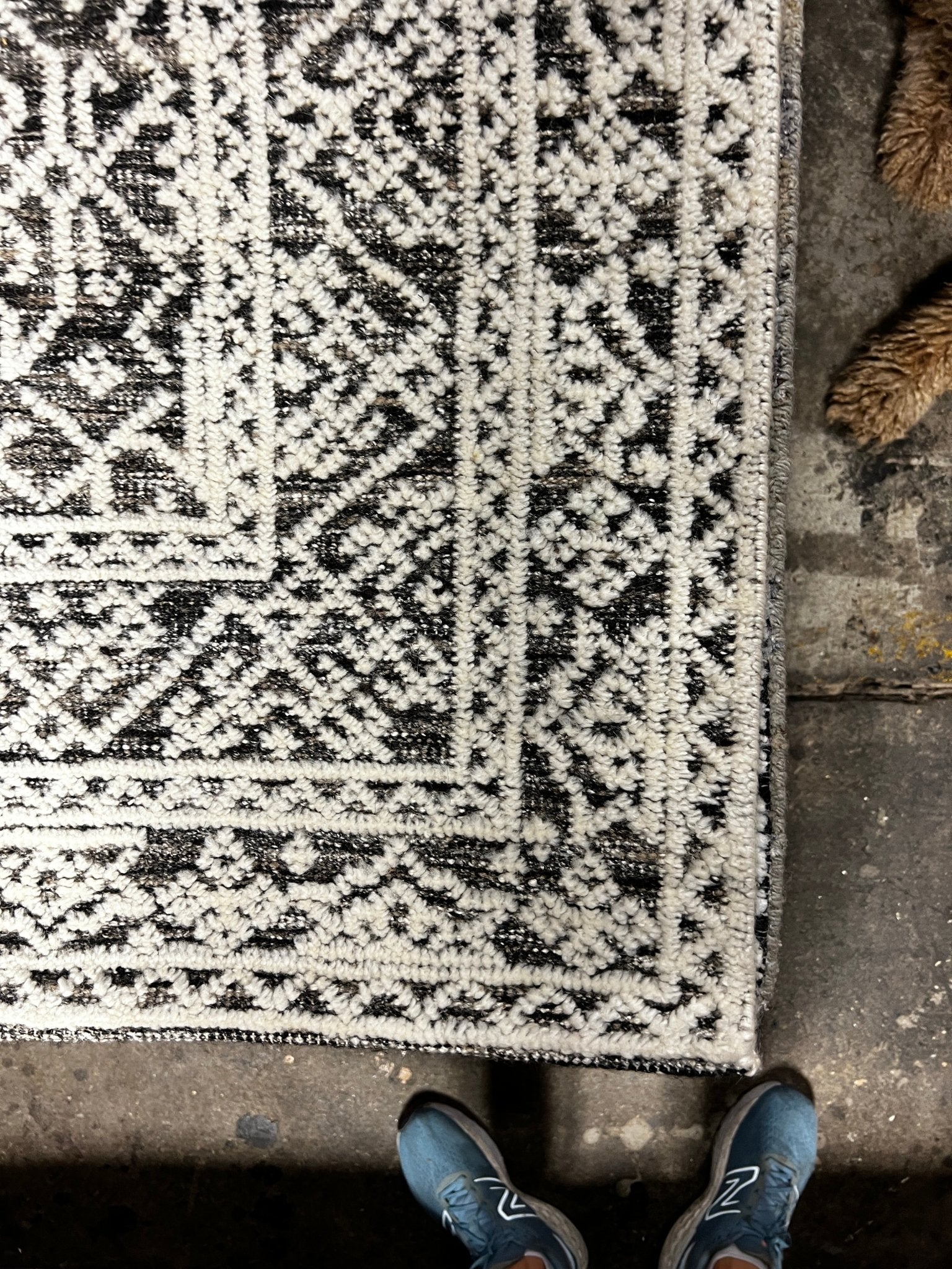 Castro 6x9 Hand-Knotted Ivory & Dark Grey Cut Pile | Banana Manor Rug Factory Outlet