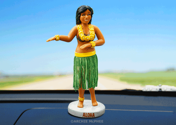 Dash hula girl hotsell