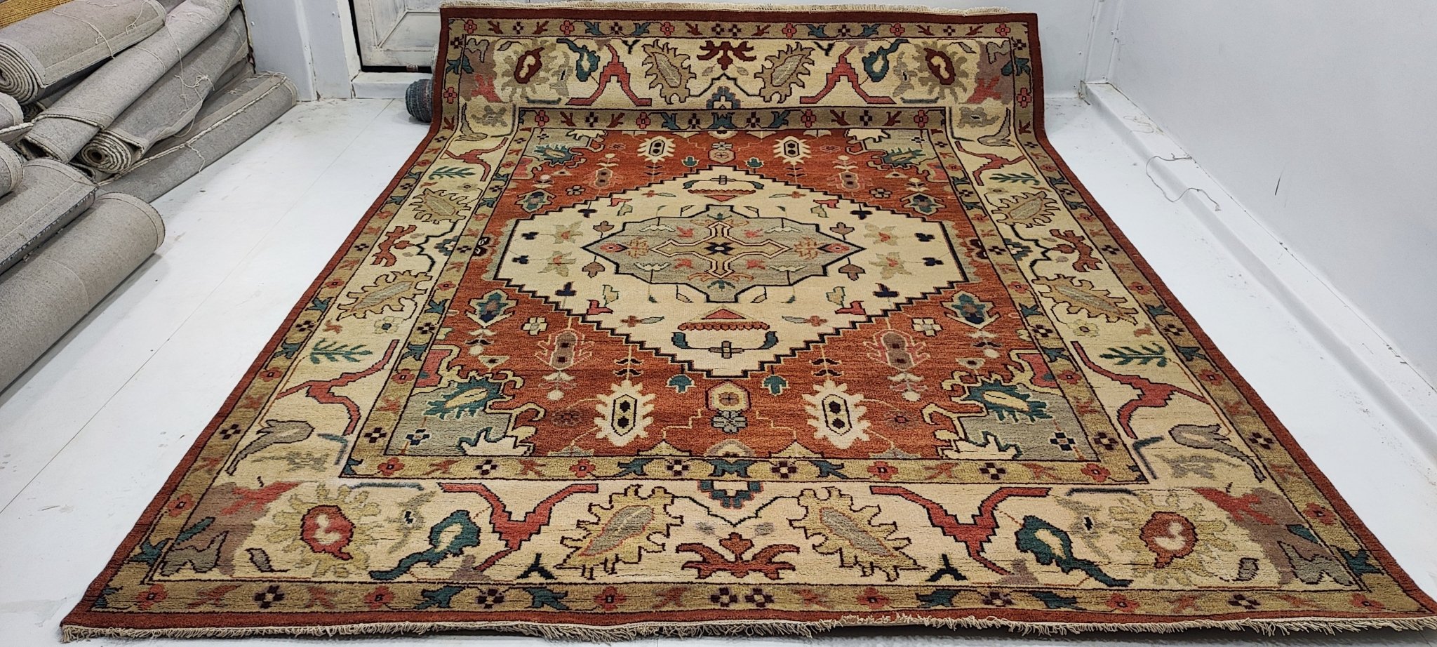 Diedre Hall 9x11.9 Hand-Knotted Rust & Gold Serapi | Banana Manor Rug Factory Outlet