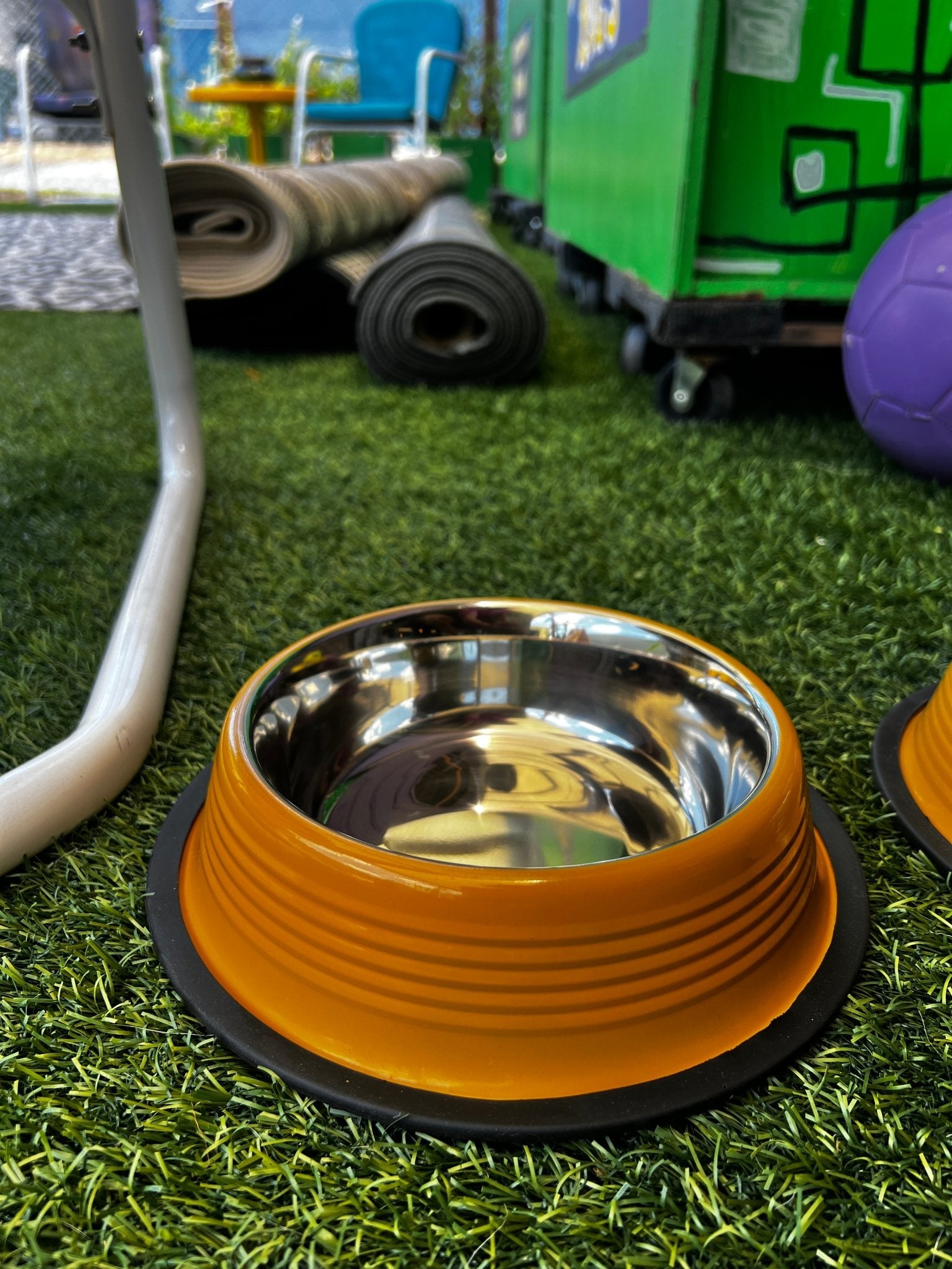 Eco-friendly Non Skid Ribbed Cat & Dog Bowl (Golden Yellow) | Banana Manor Rug Factory Outlet
