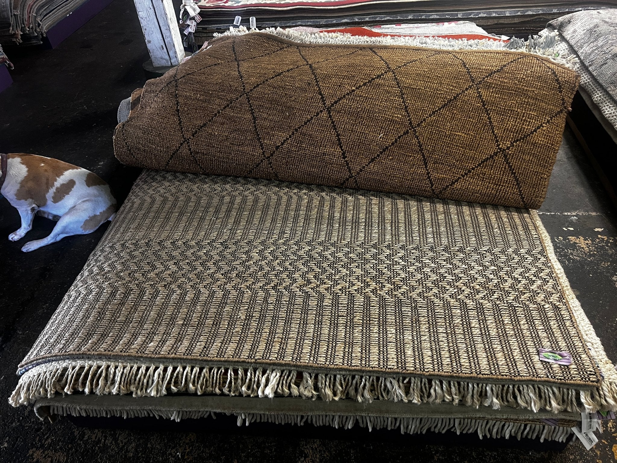 Eric Edwards 6.6X9.9 Natural Design Jute Durrie | Banana Manor Rug Factory Outlet